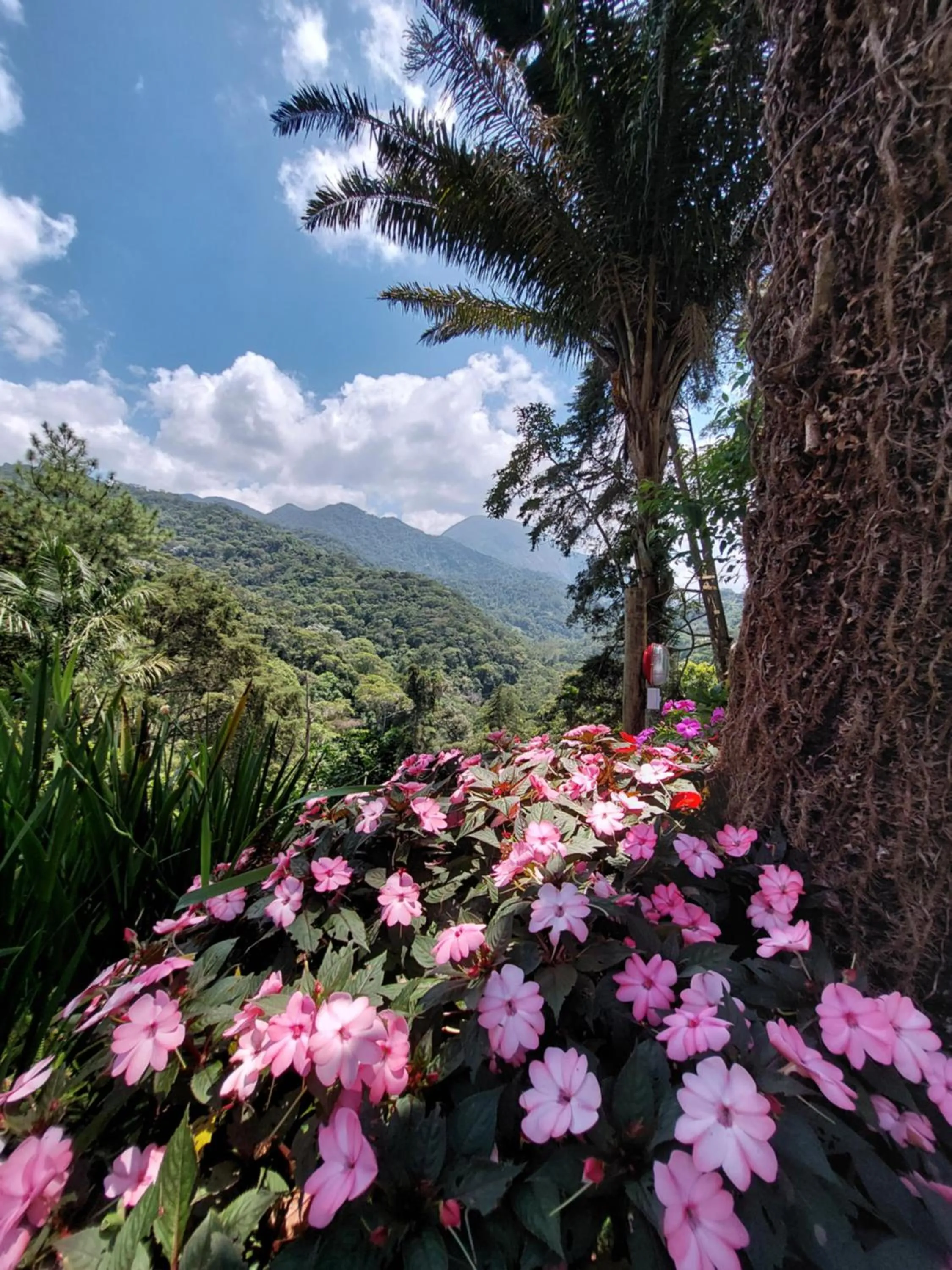 Natural landscape in Casa no Céu