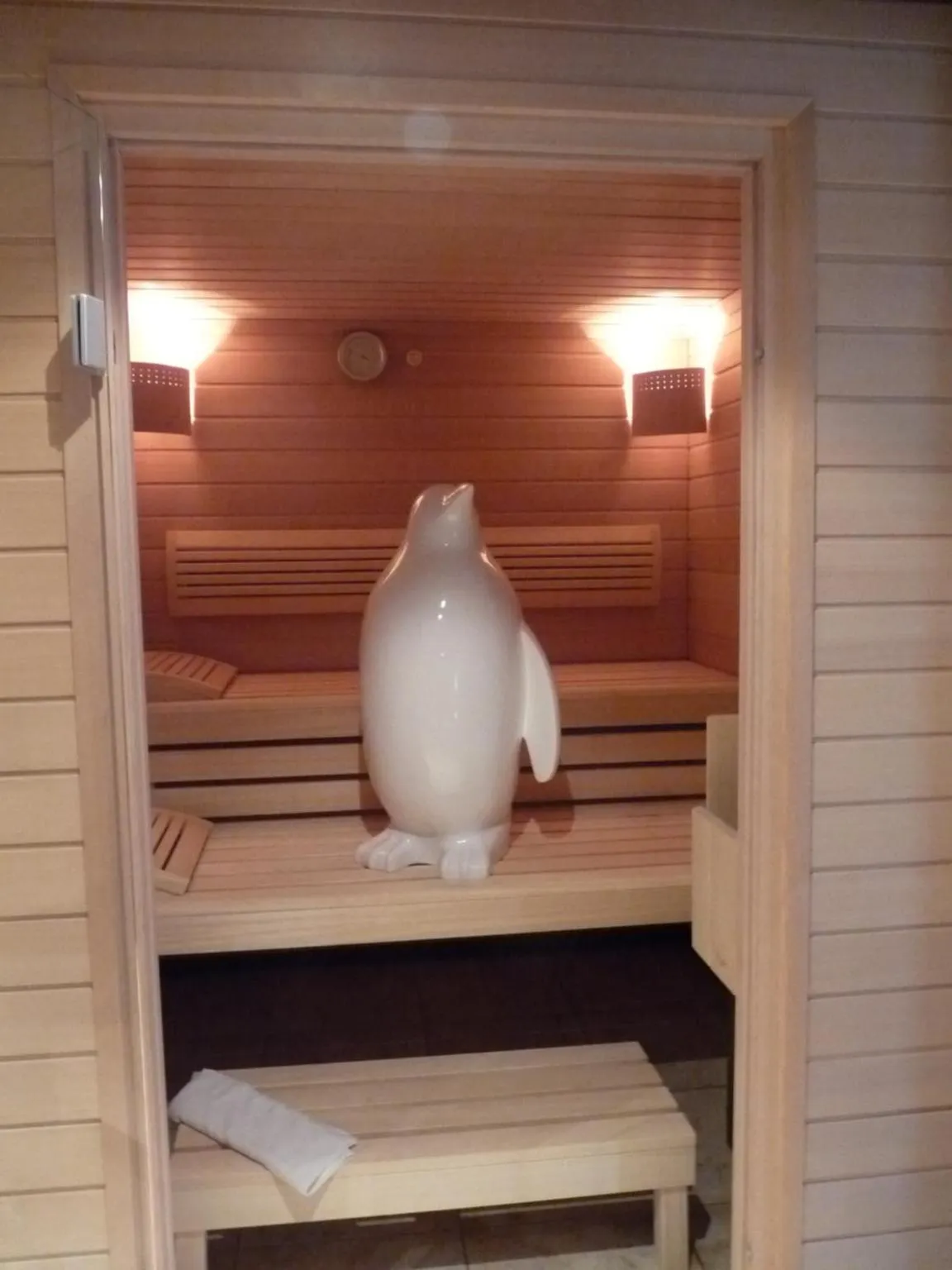 Sauna in Hôtel Le Riquewihr