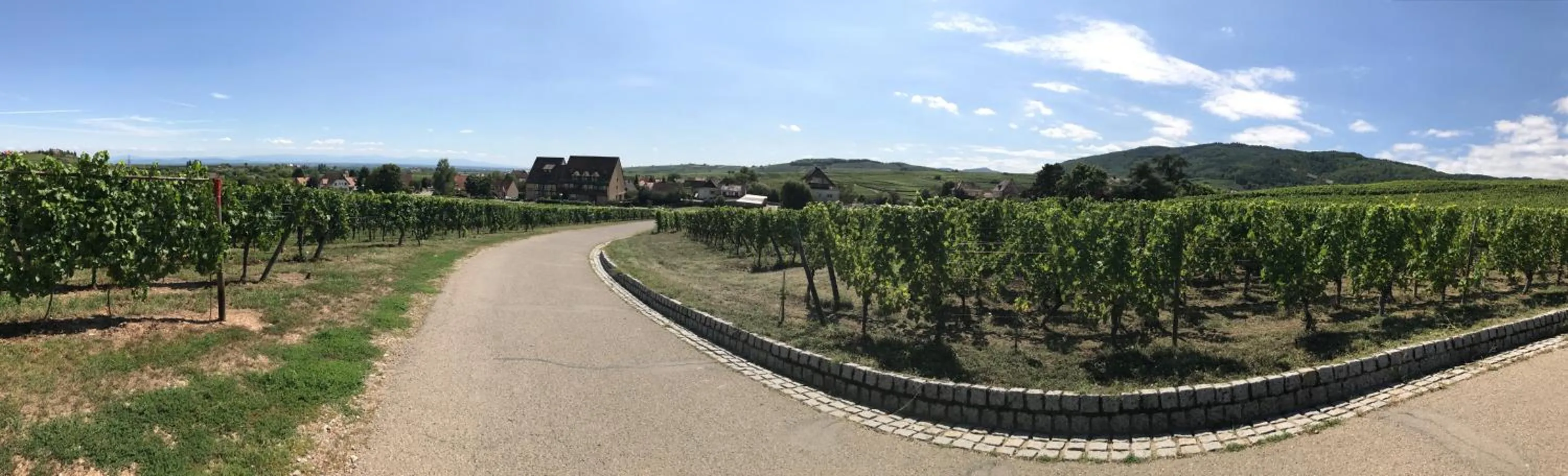 Property building in Hôtel Le Riquewihr