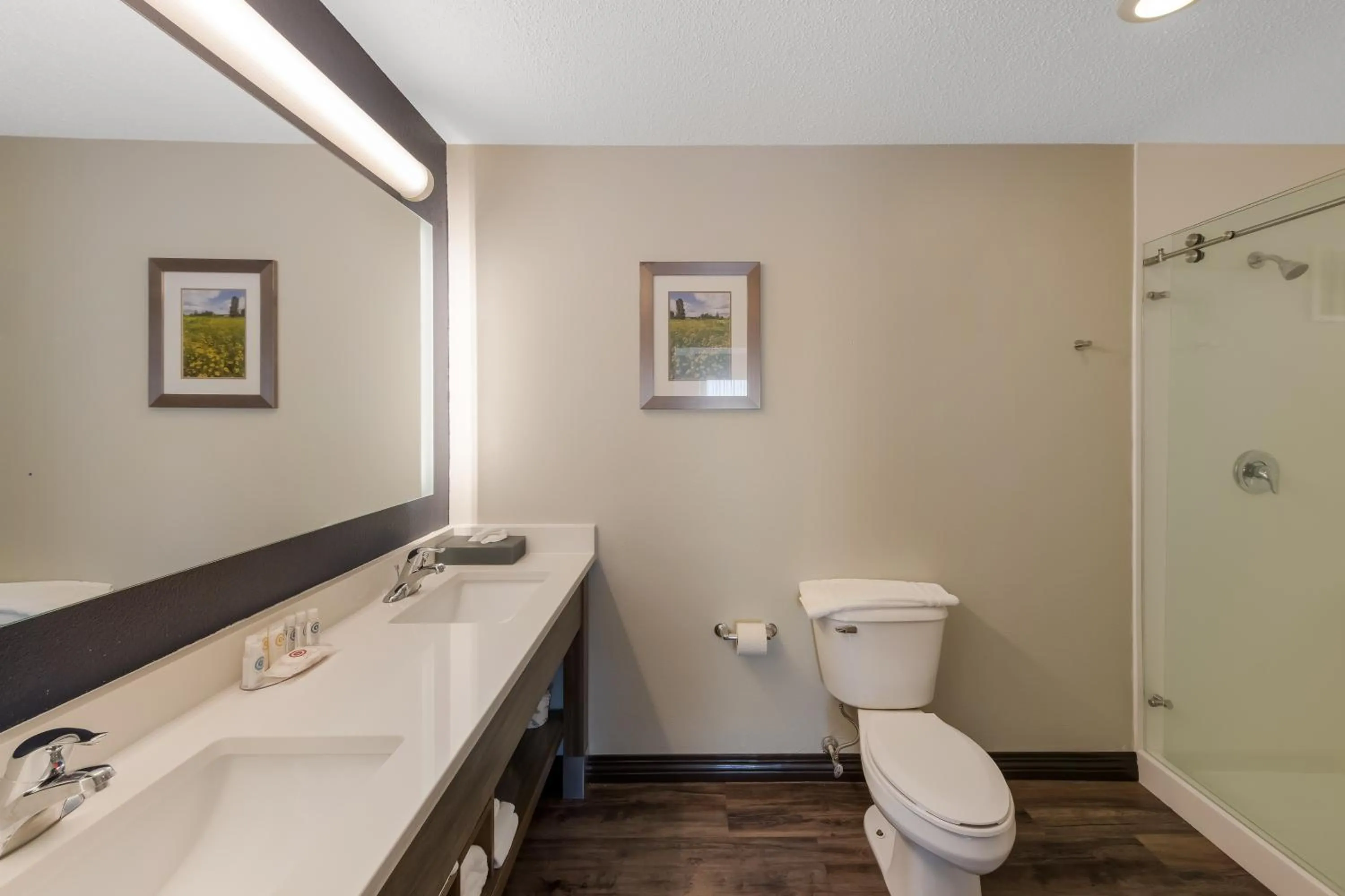 Bathroom in Comfort Inn & Suites Tipp City Dayton North I-75