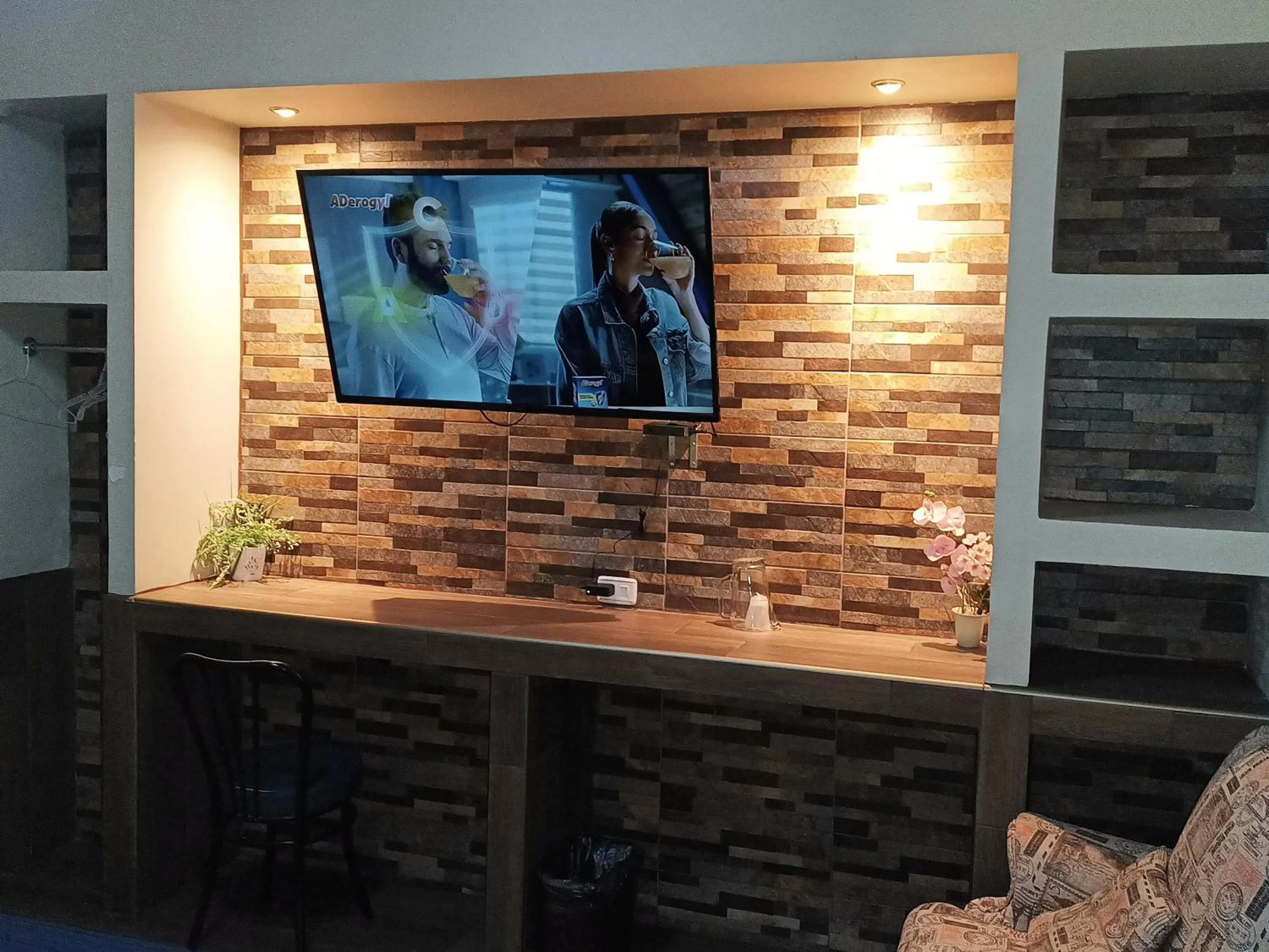 TV and multimedia in HOTEL BAEZA