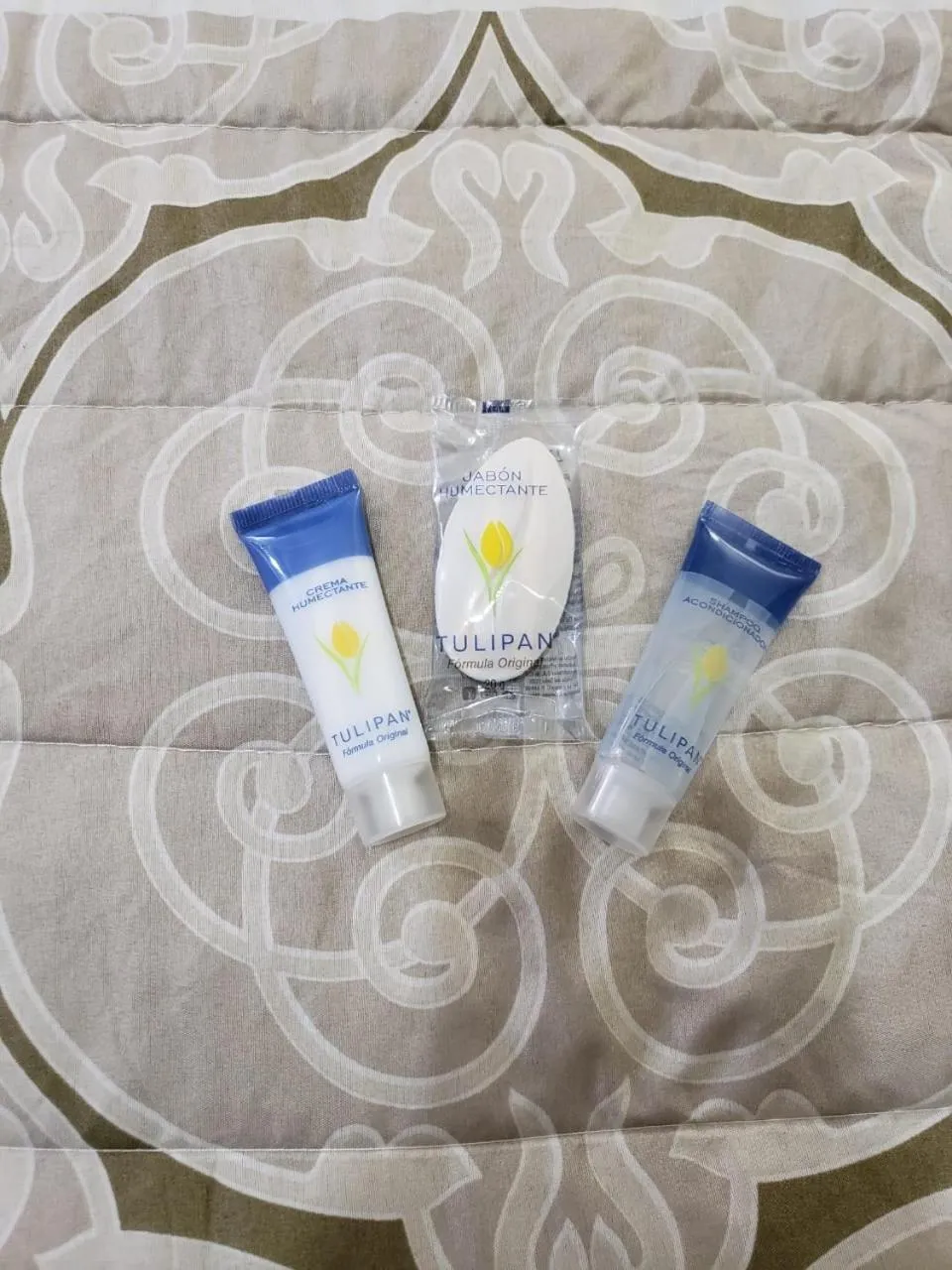 Photo of the whole room in HOTEL BAEZA