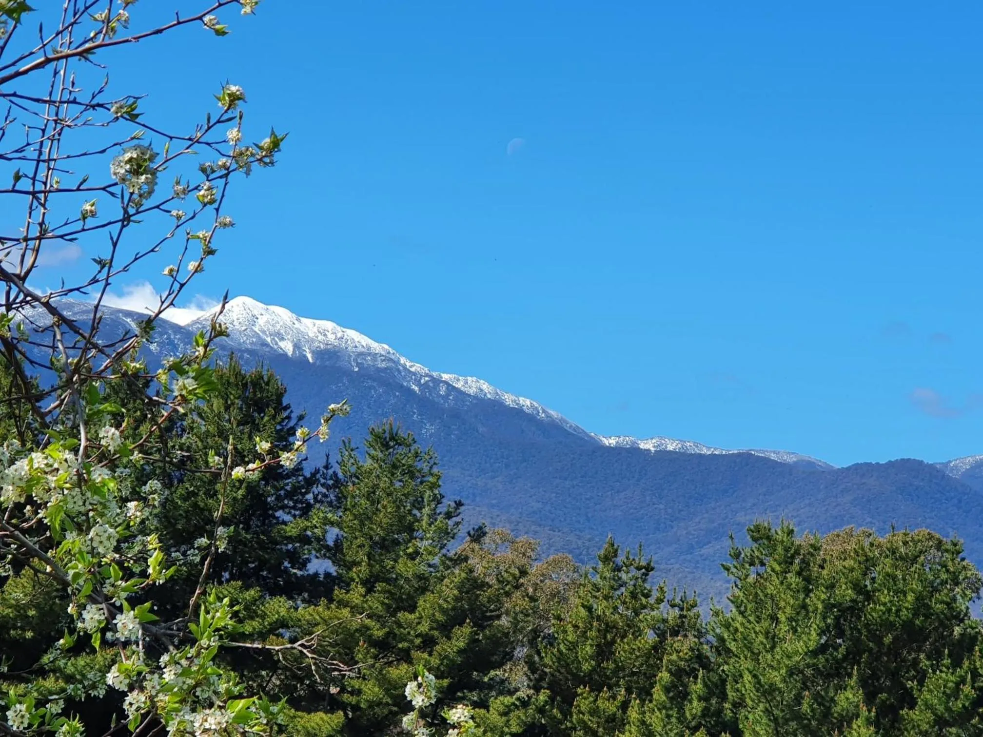 Mountain view in Allamar Motel