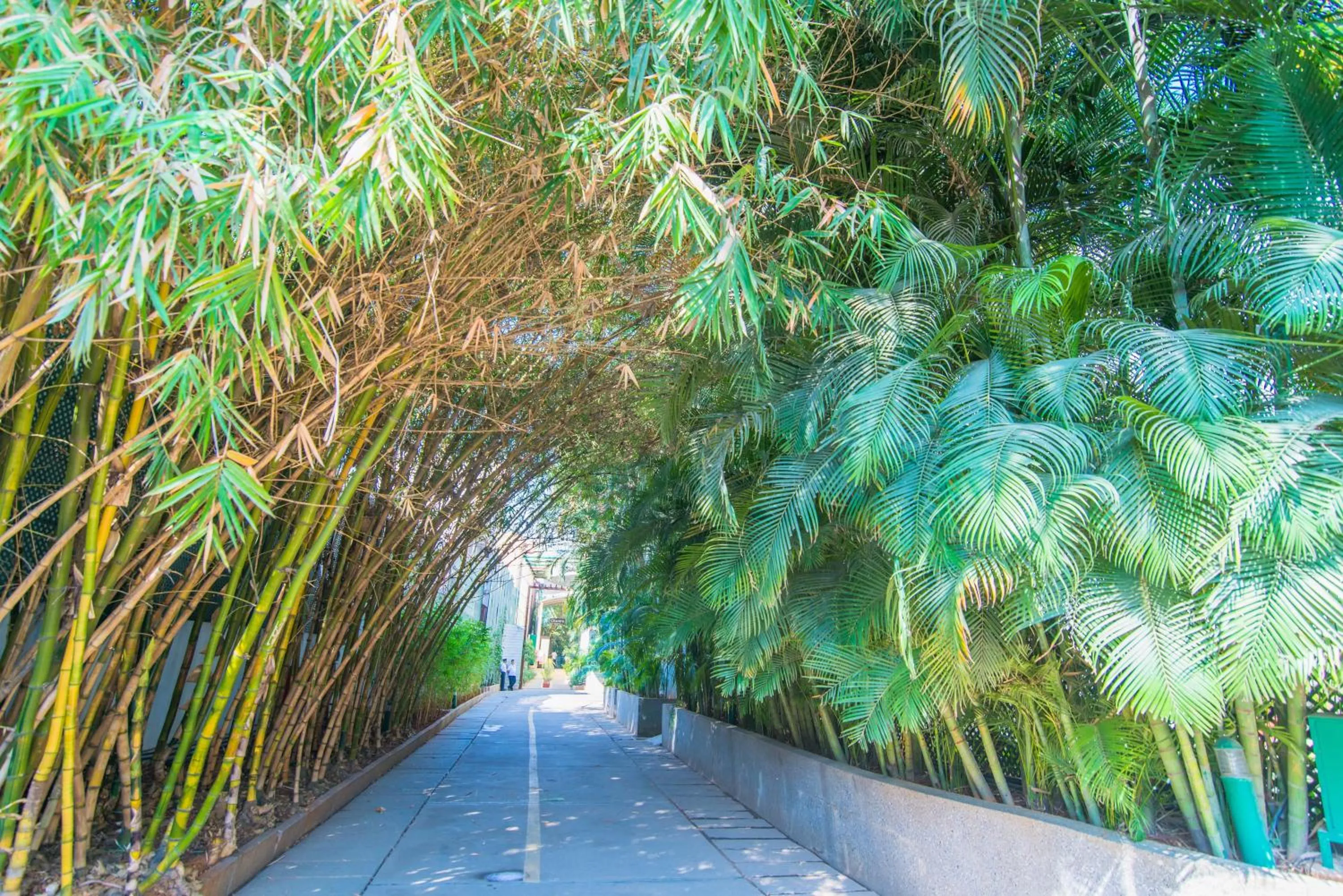 Garden view in Halcyon Hotel Residences Koramangala - Bangalore