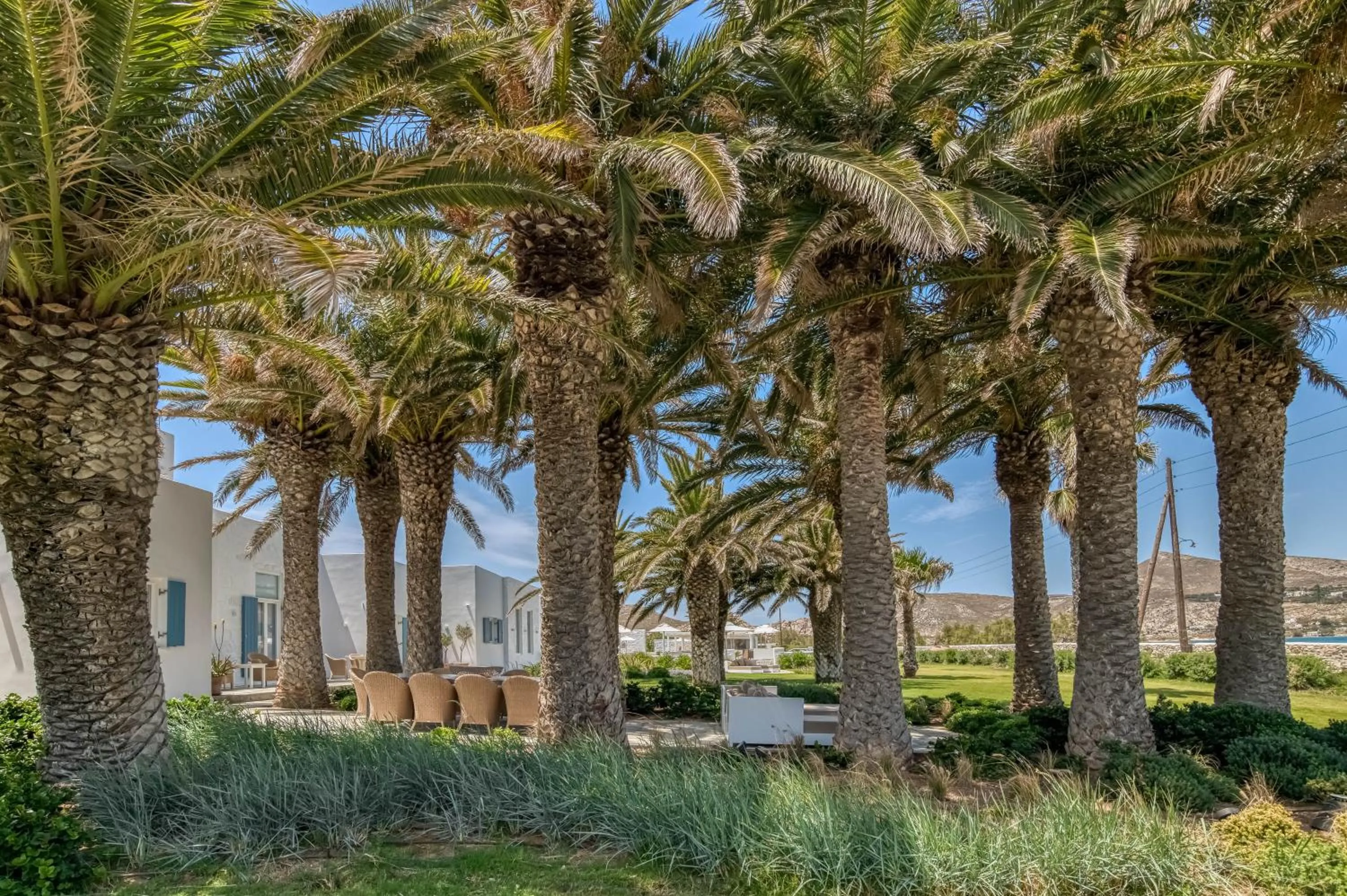 Garden in Villa Bellonia