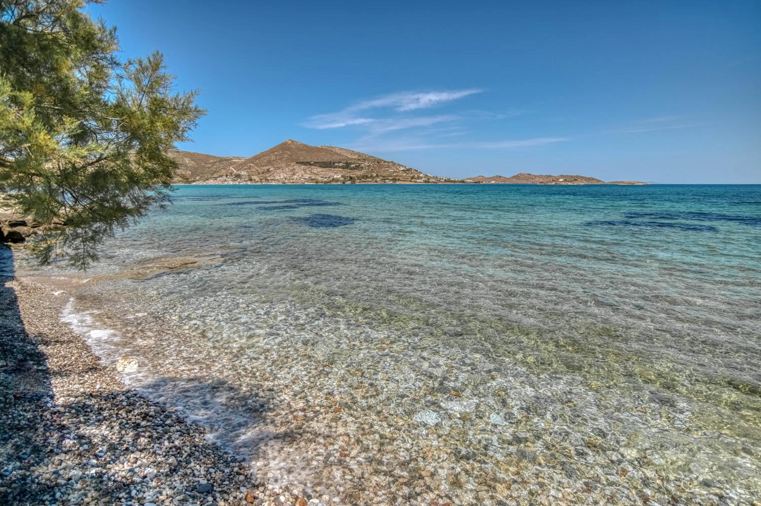 Natural landscape in Villa Bellonia
