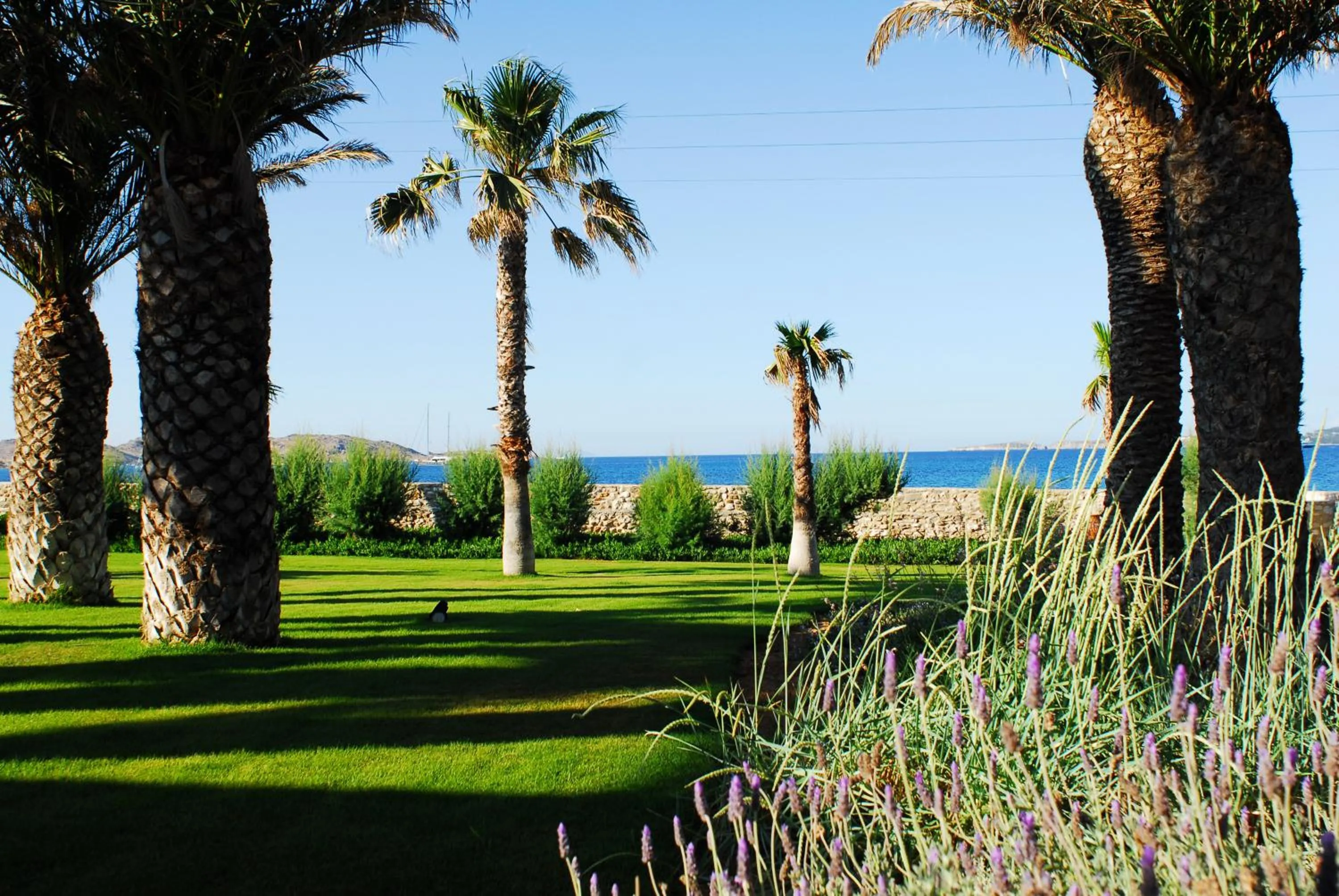 Sea view in Villa Bellonia