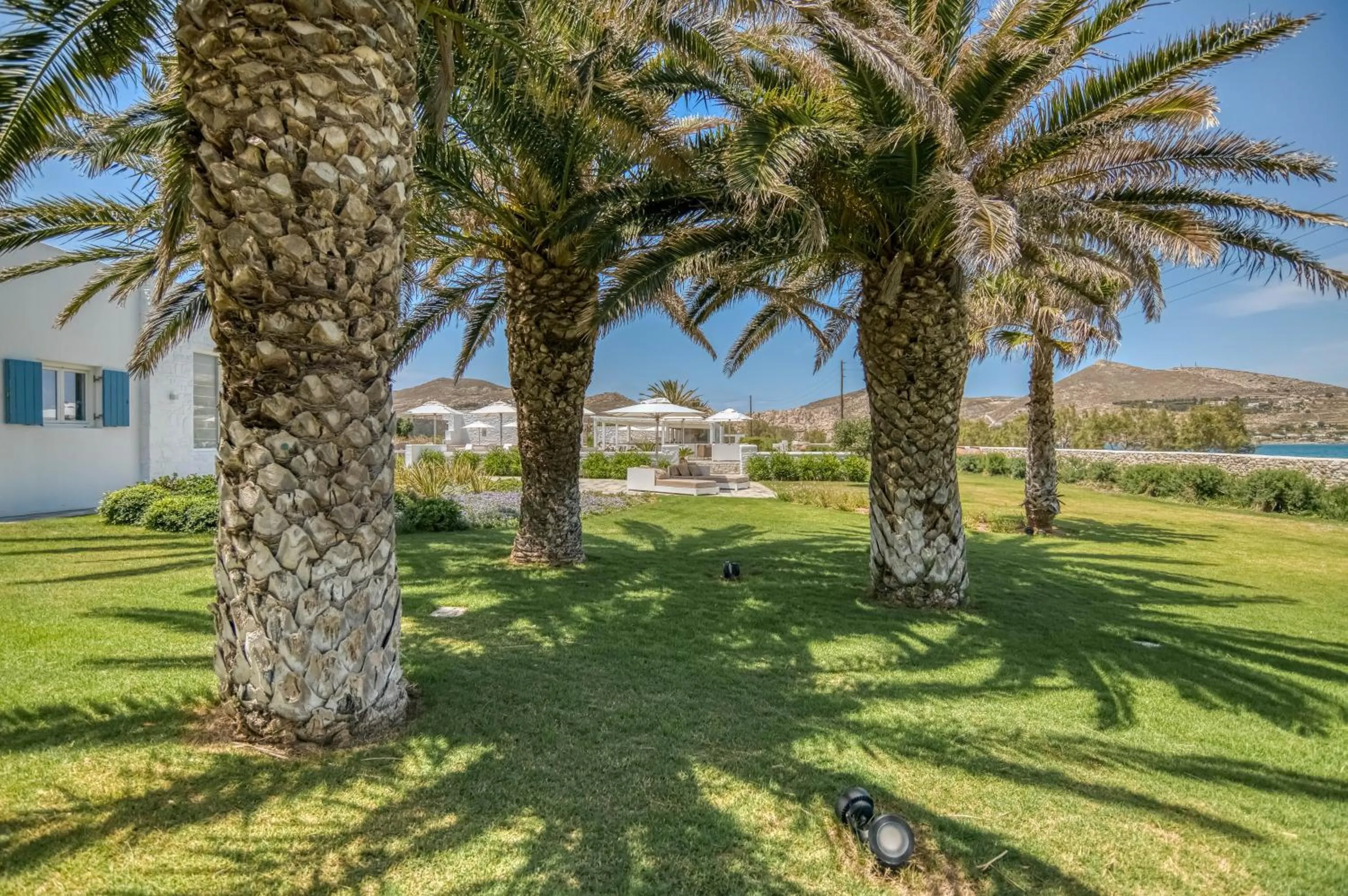 Garden view in Villa Bellonia