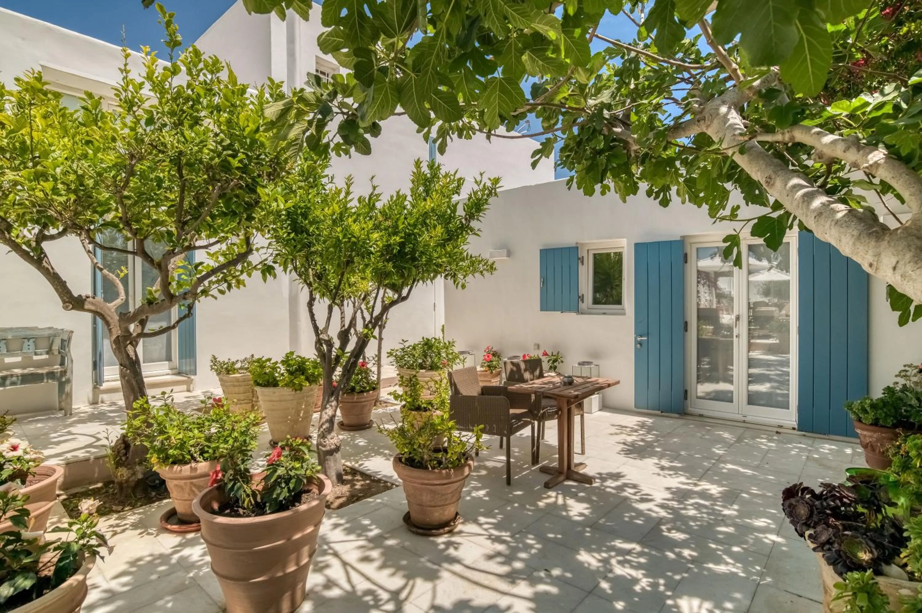 Garden in Villa Bellonia