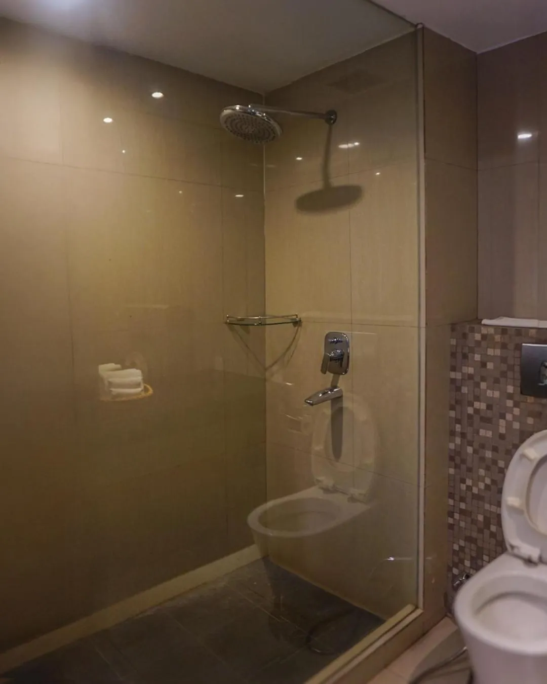 Shower in Hotel Dafam Pekanbaru