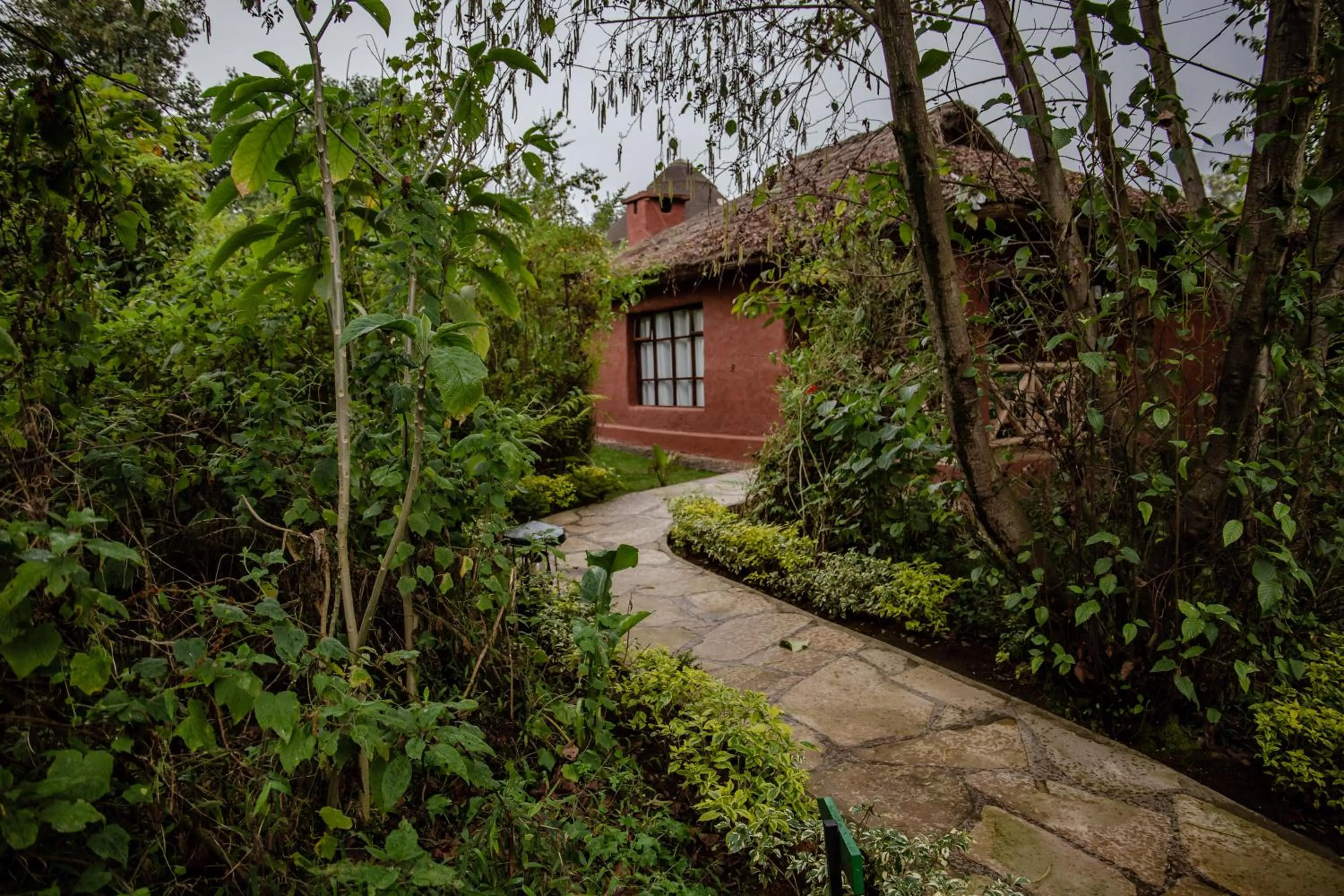 Property building in Ingagi Park View Lodge