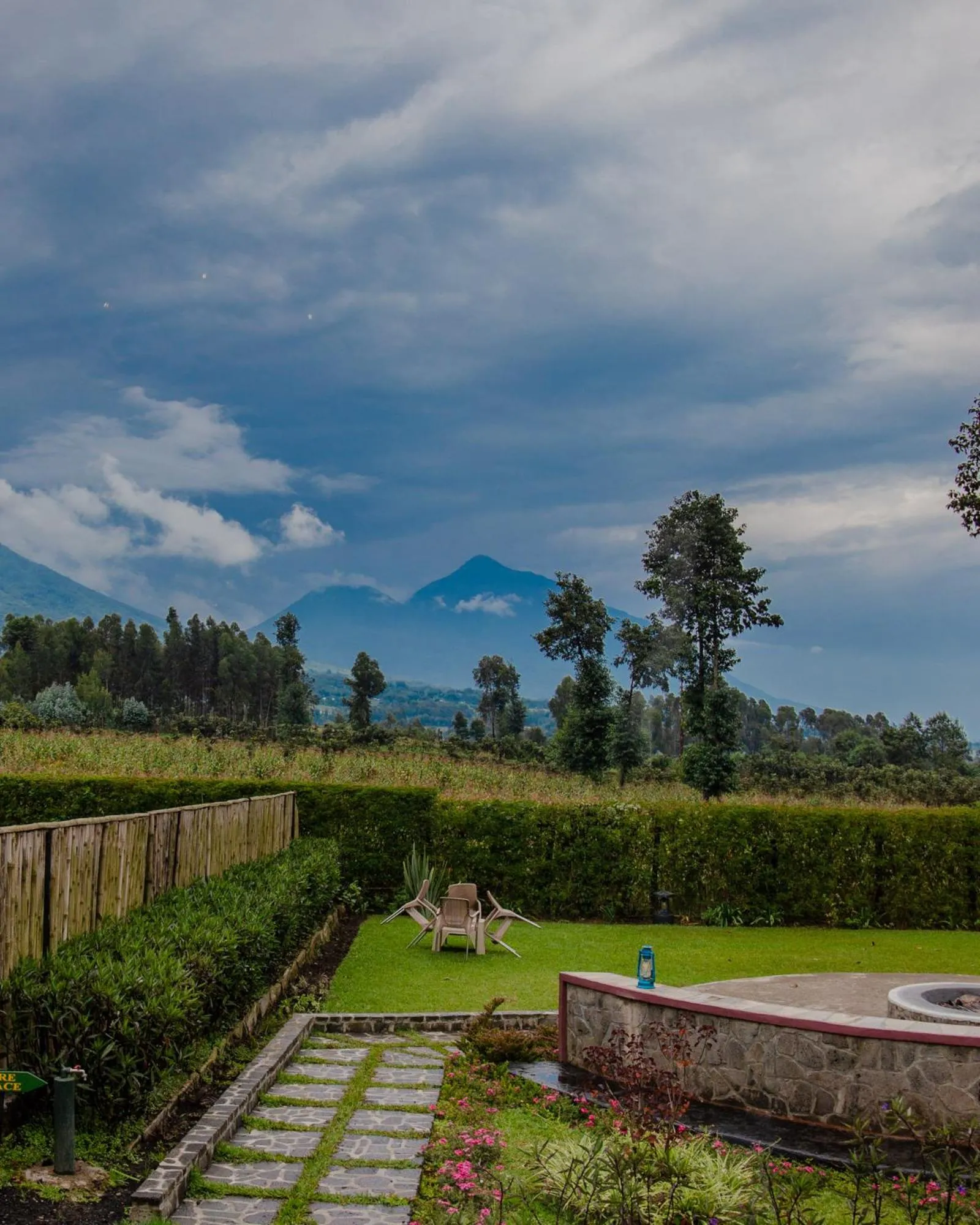 Natural landscape in Ingagi Park View Lodge