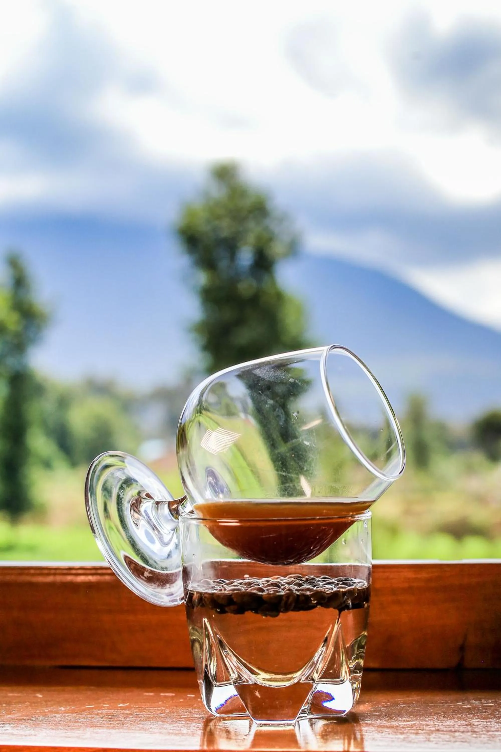 Ingagi Park View Lodge