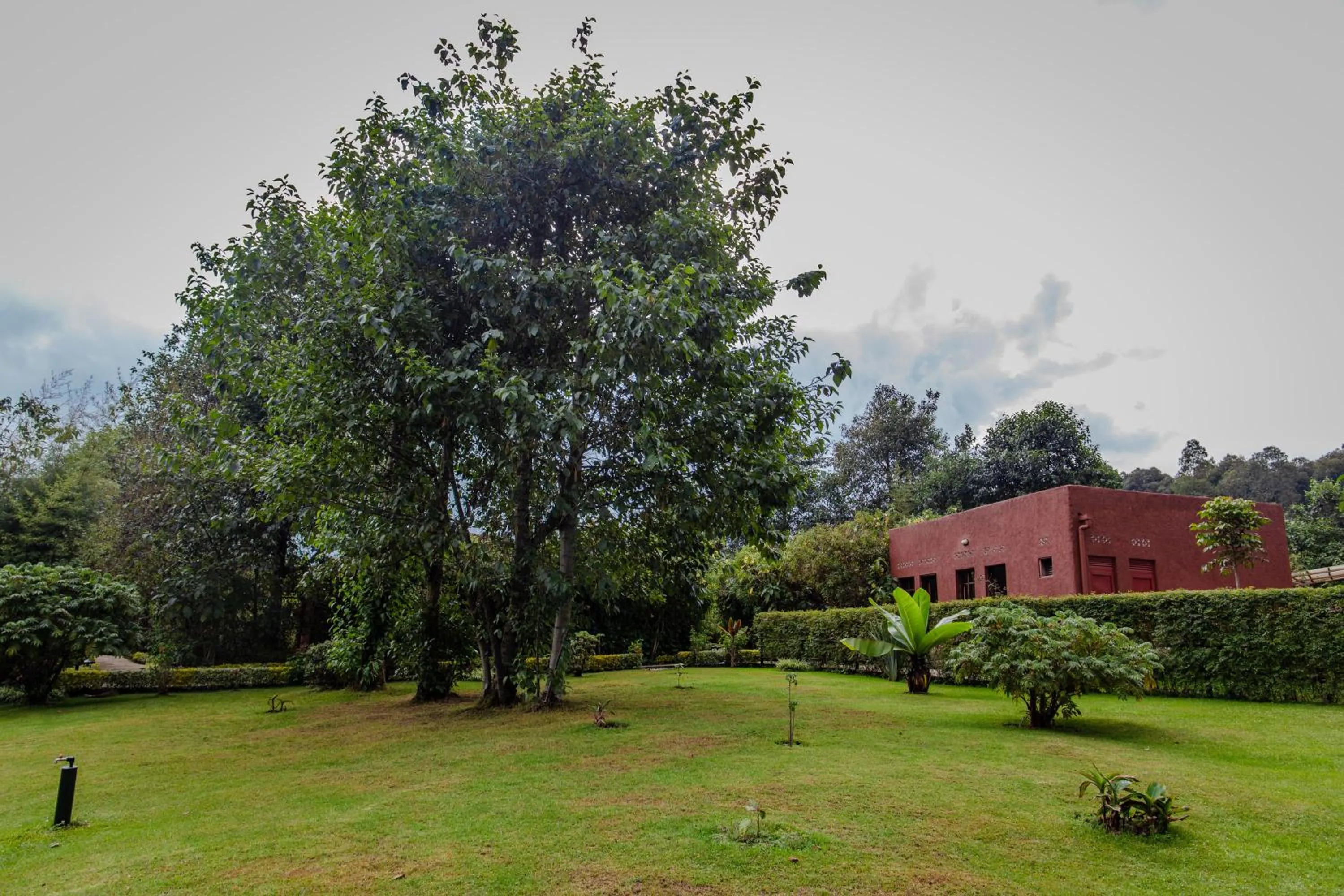 Property building in Ingagi Park View Lodge