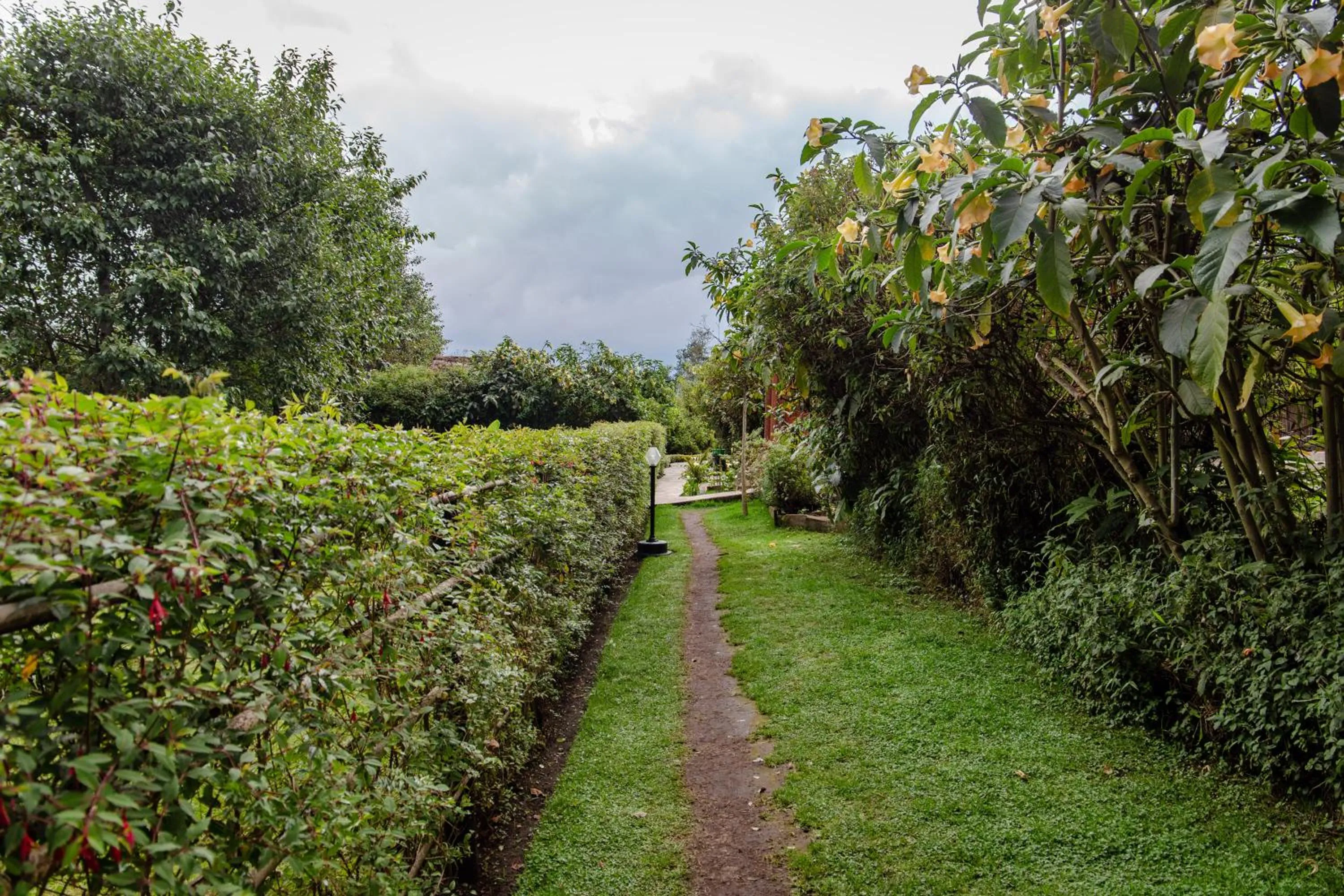 Natural landscape in Ingagi Park View Lodge