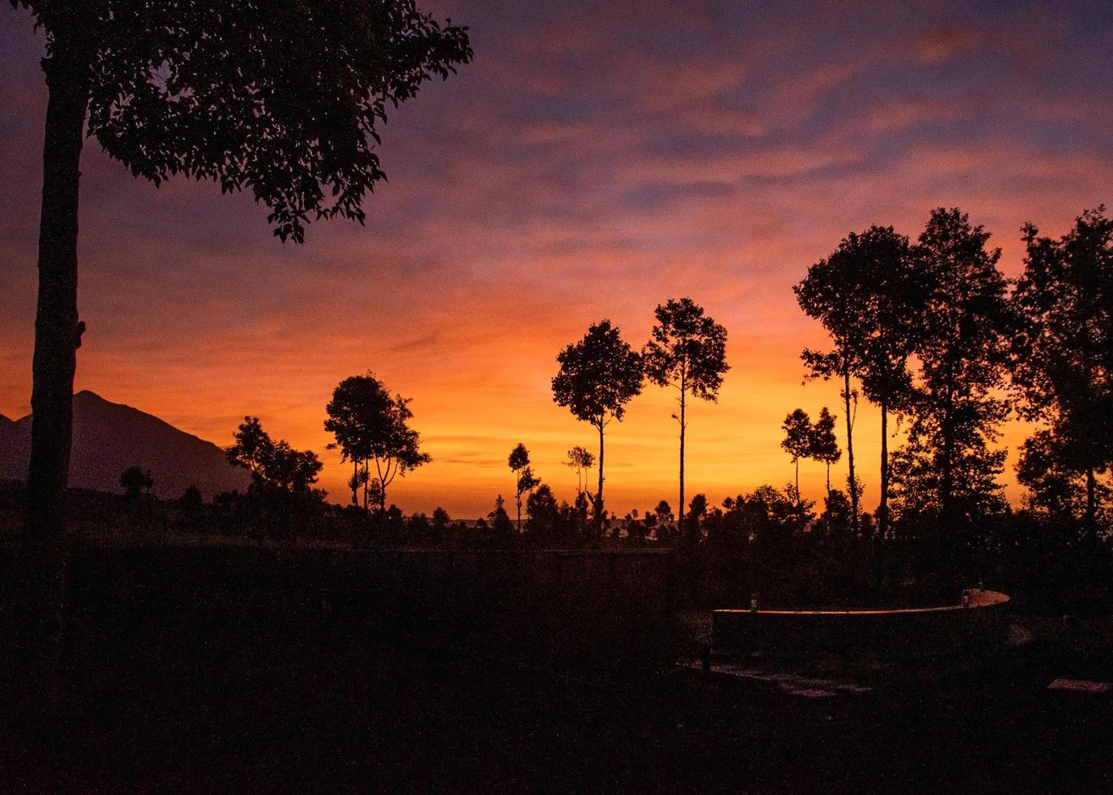 Natural landscape in Ingagi Park View Lodge