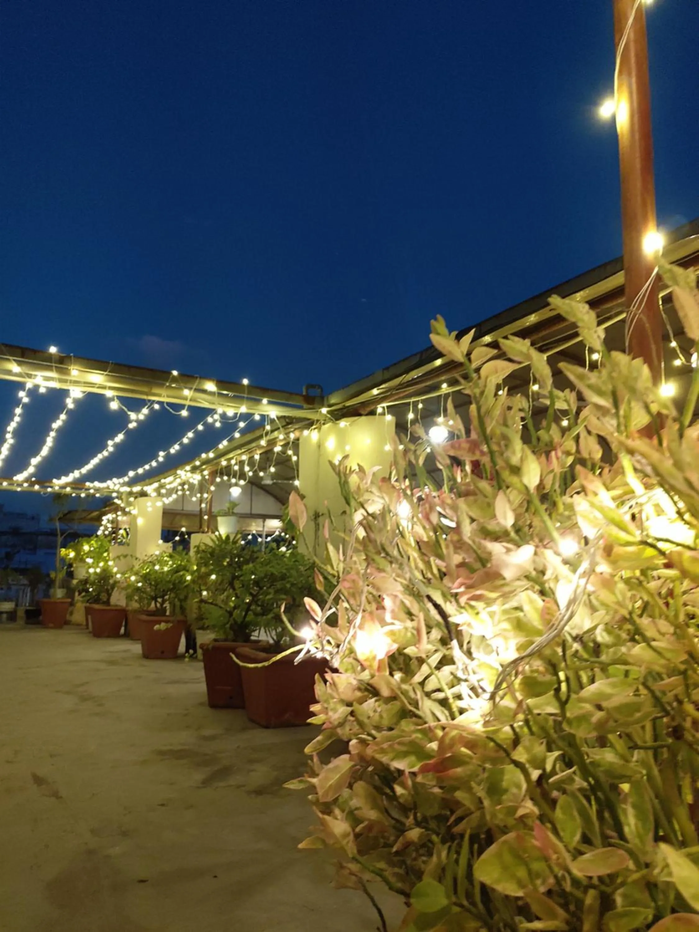 Restaurant/places to eat in Hotel Raj Palace Udaipur