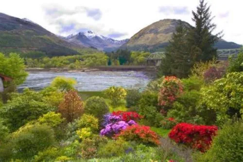 Garden in Loch Leven Hotel & Distillery