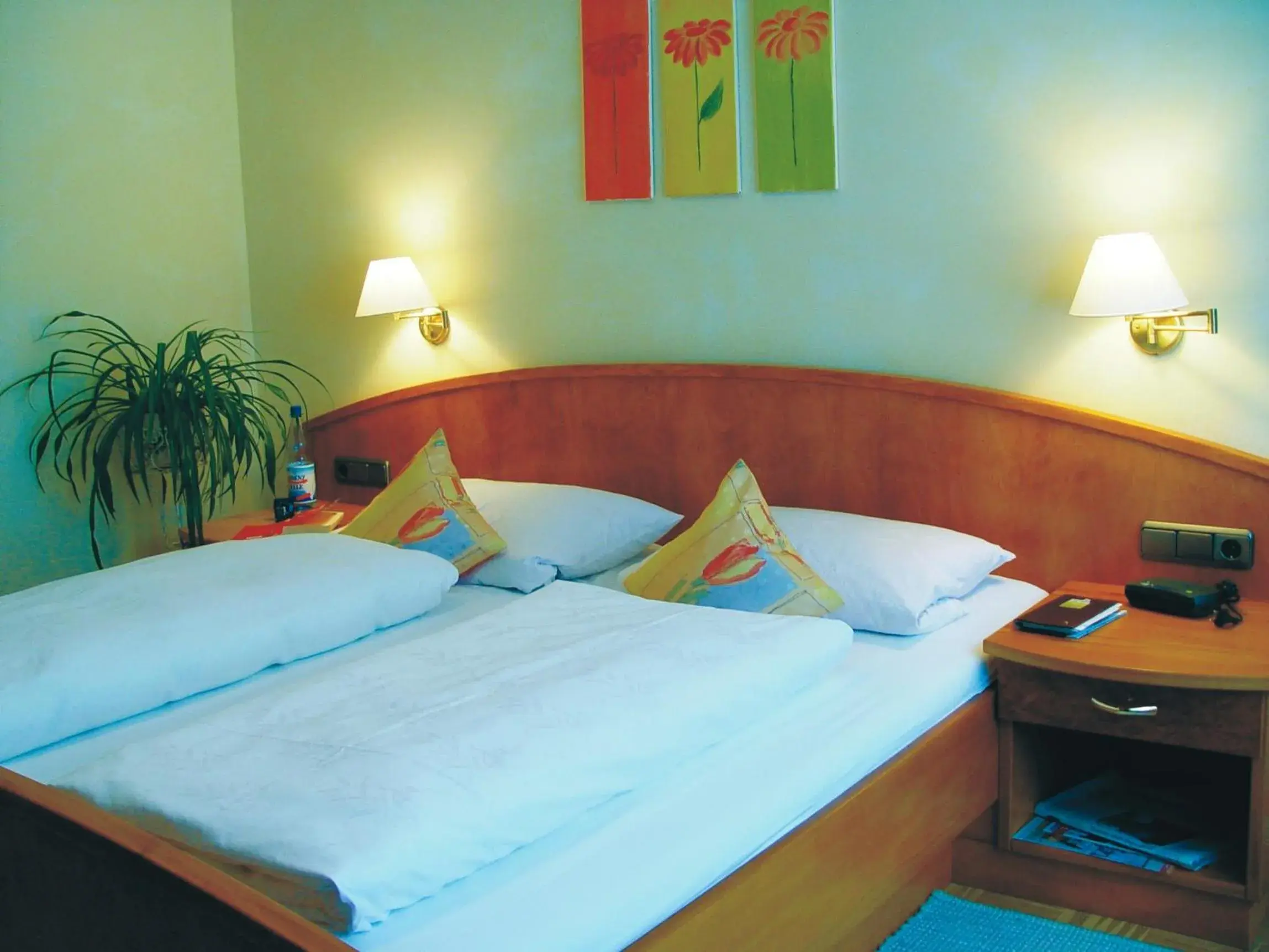 Double Room in Hotel Cebulj Double Room in Hotel Cebulj