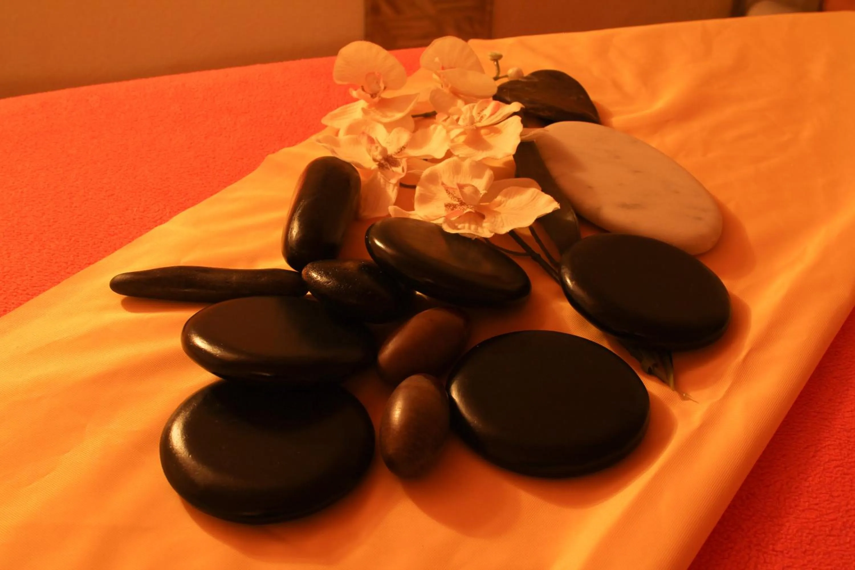 Spa and wellness centre/facilities in Hotel Cebulj