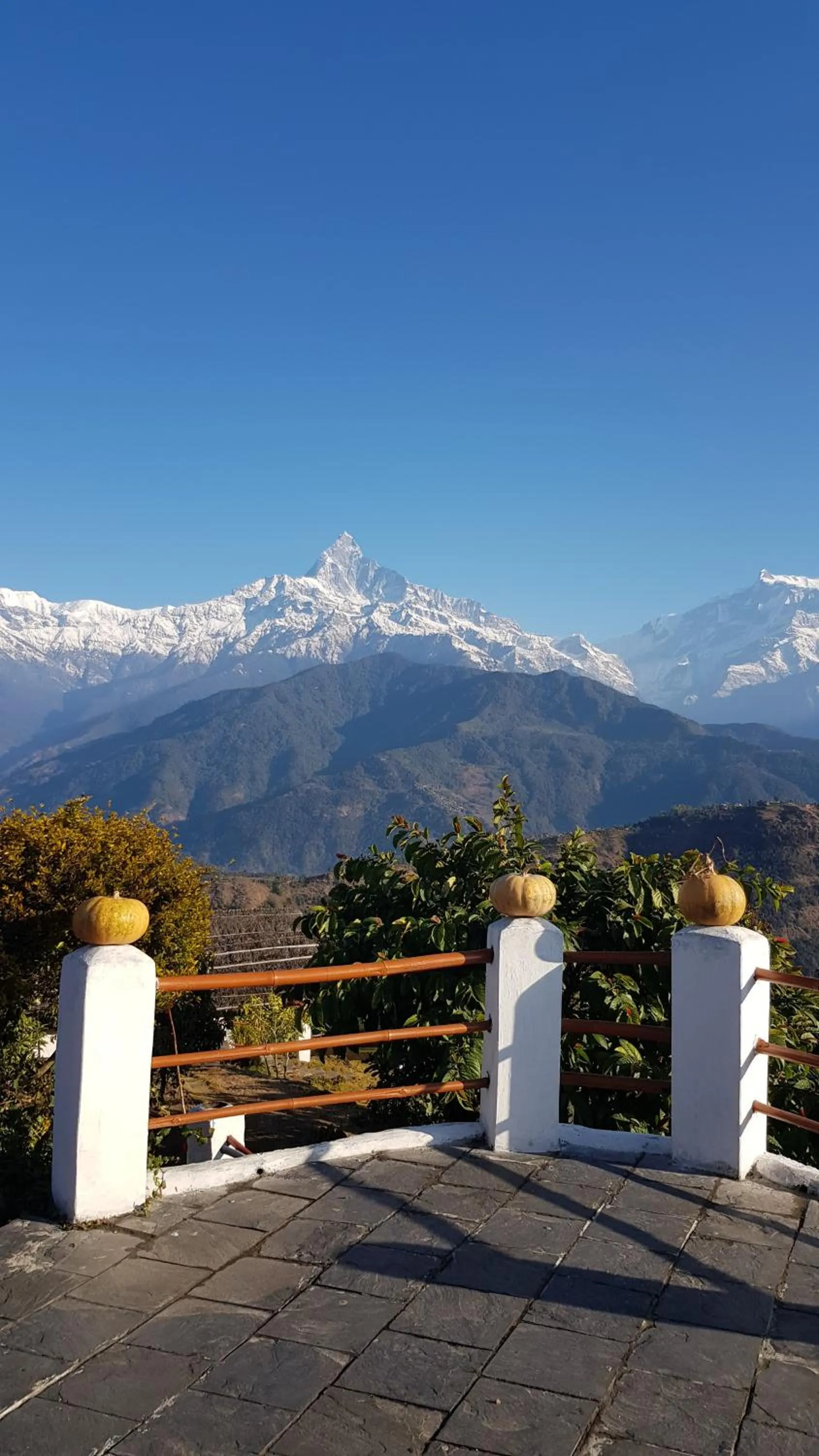 Balcony/Terrace in ES Deurali Resort