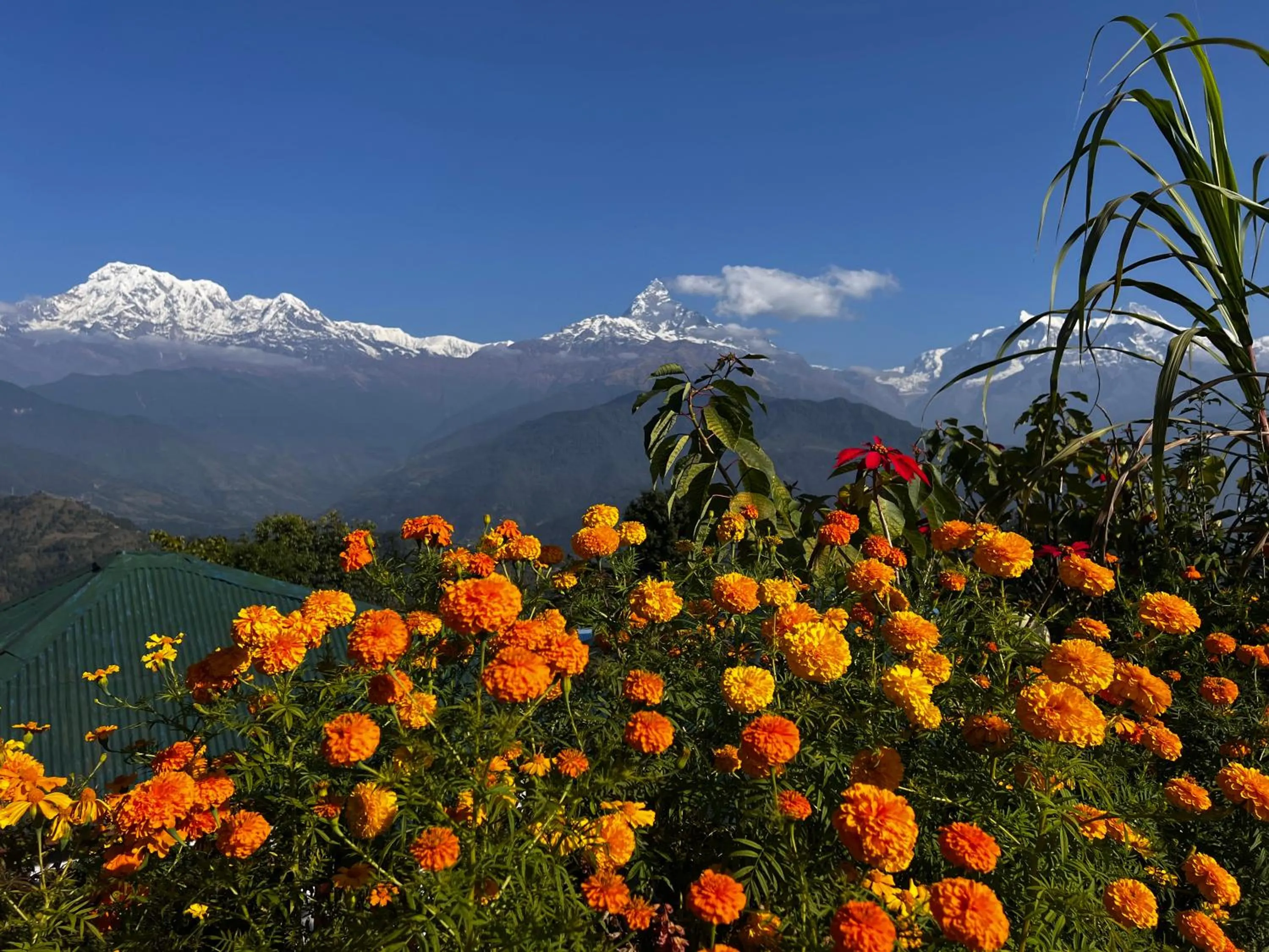 Day in ES Deurali Resort