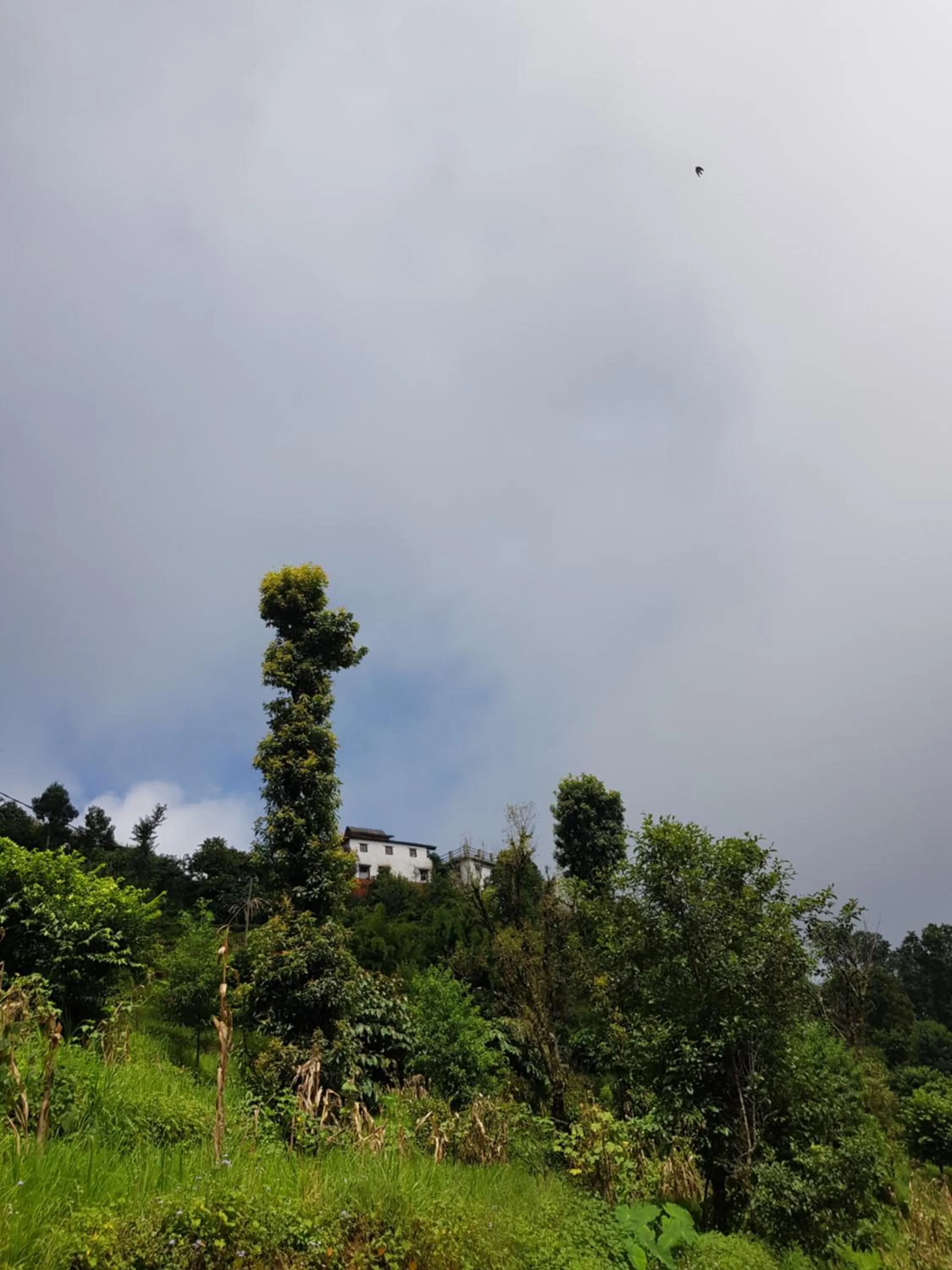 Garden in ES Deurali Resort