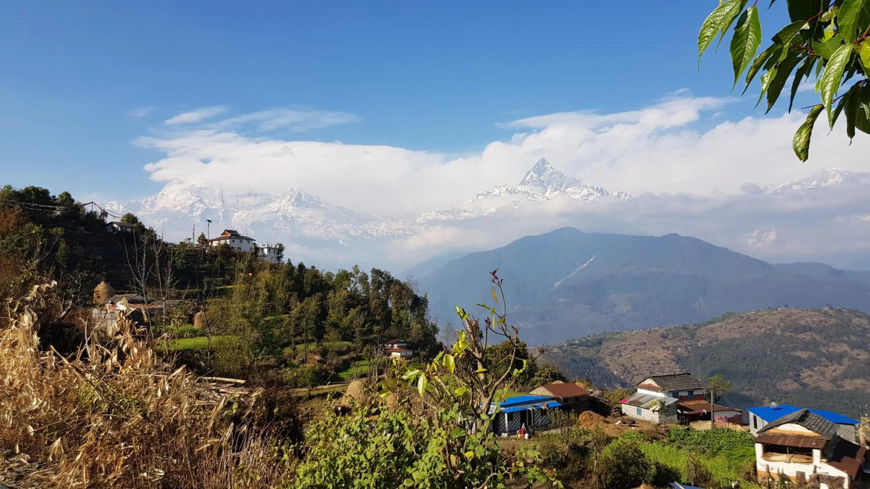 Neighbourhood in ES Deurali Resort