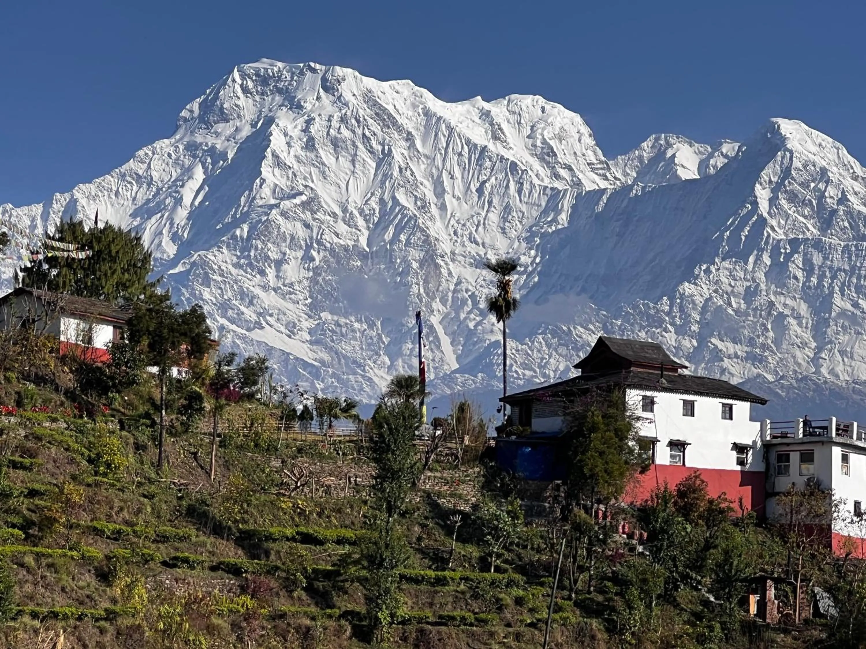 Property building in ES Deurali Resort