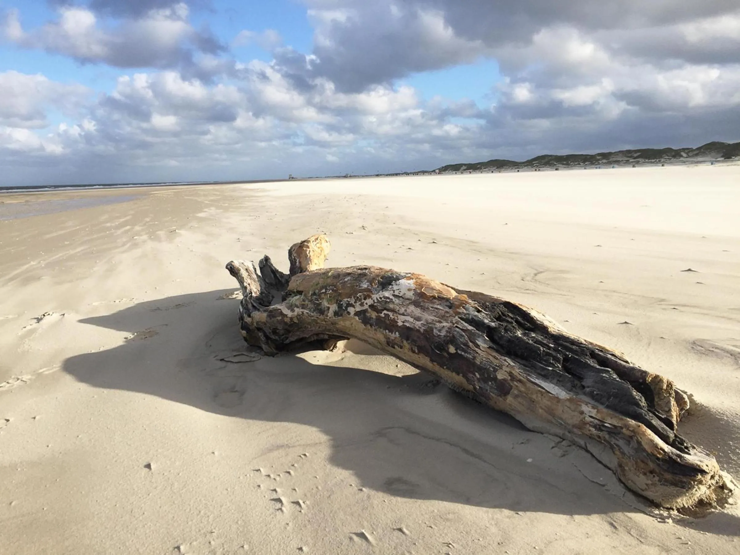 Beach in Friesenhaus Amrum Friesenhaushälfte *Hommelkasche*