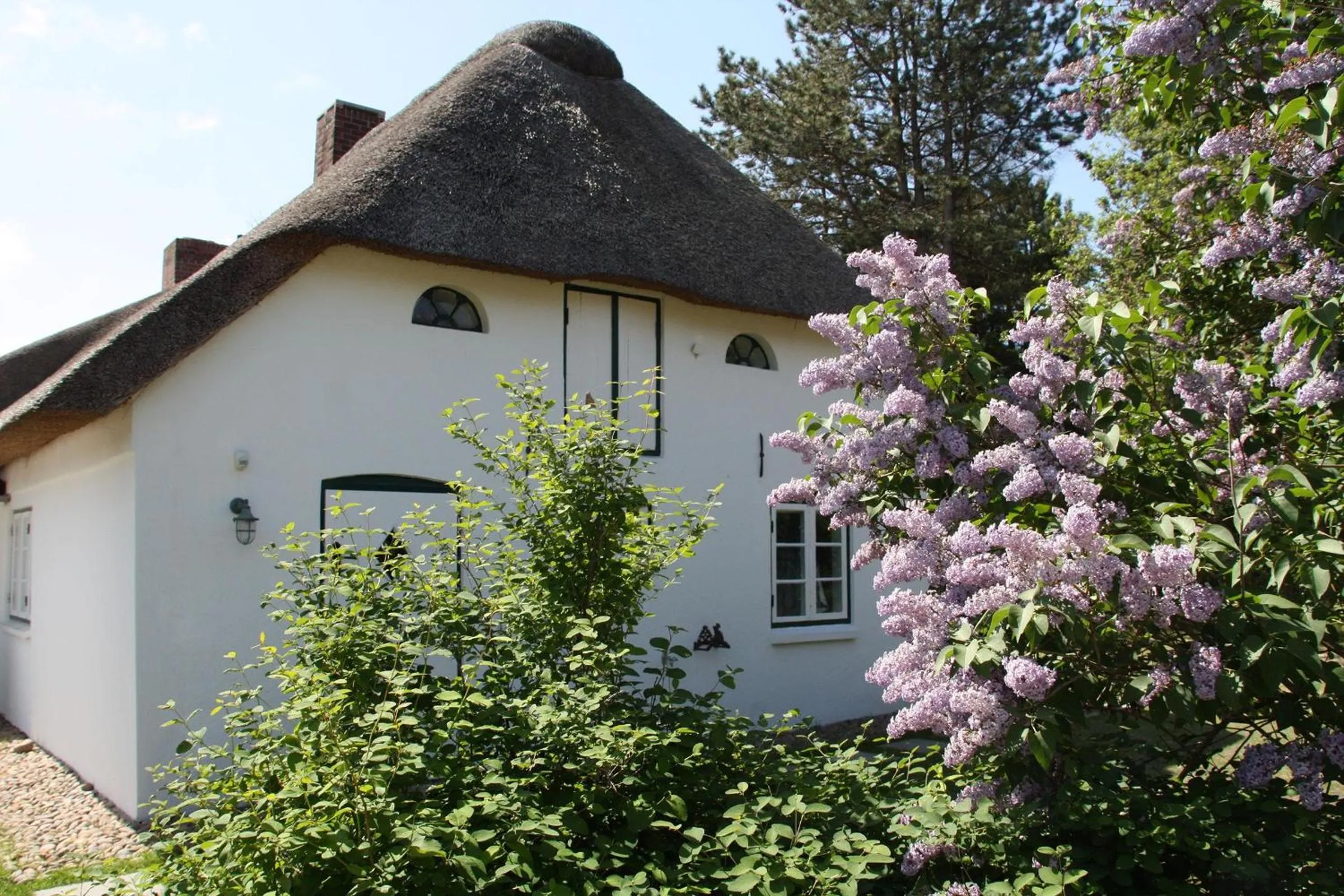 Garden view in Friesenhaus Amrum Friesenhaushälfte *Hommelkasche*