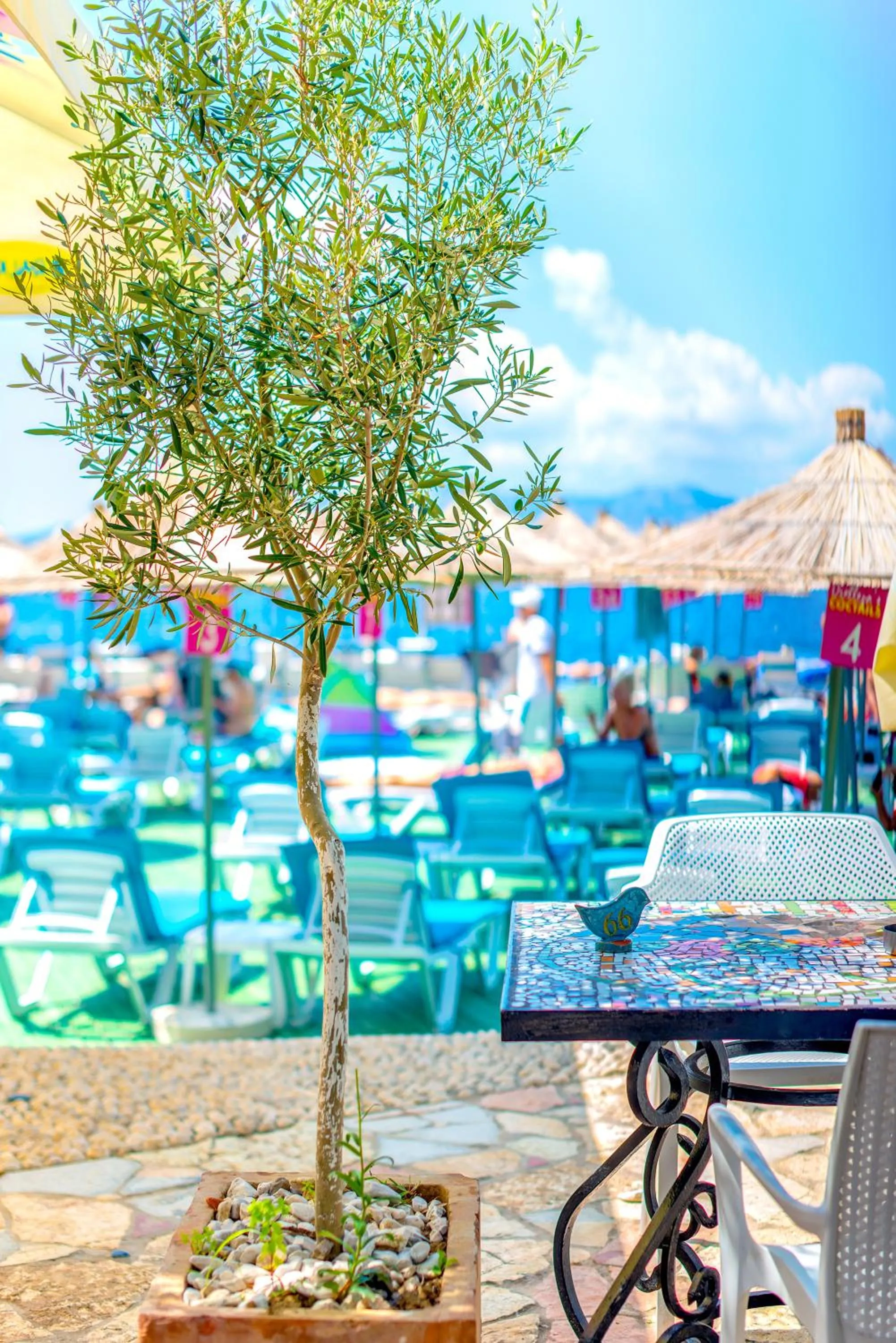 Restaurant/places to eat in Bougainville Bay Apartments