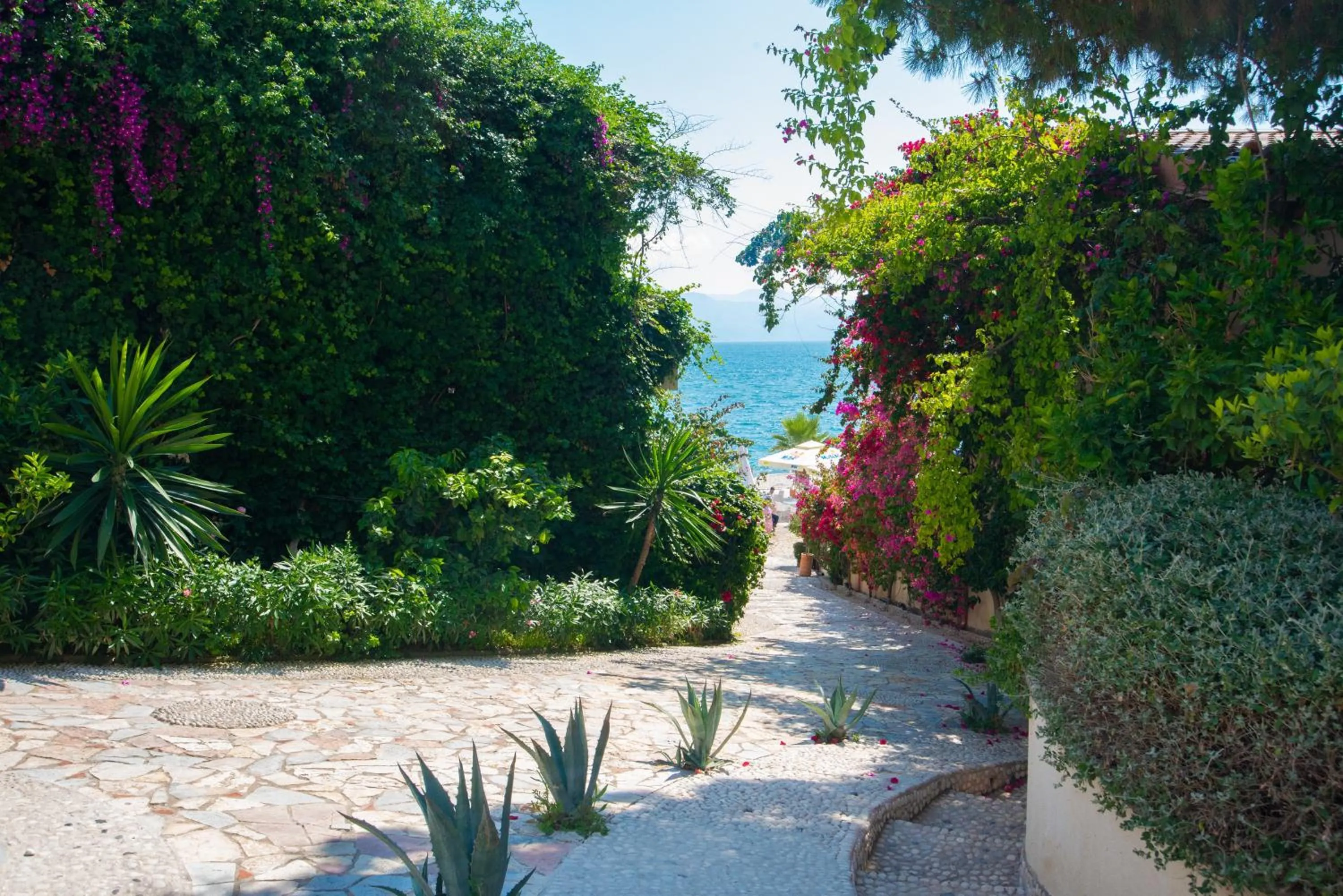 Garden in Bougainville Bay Apartments