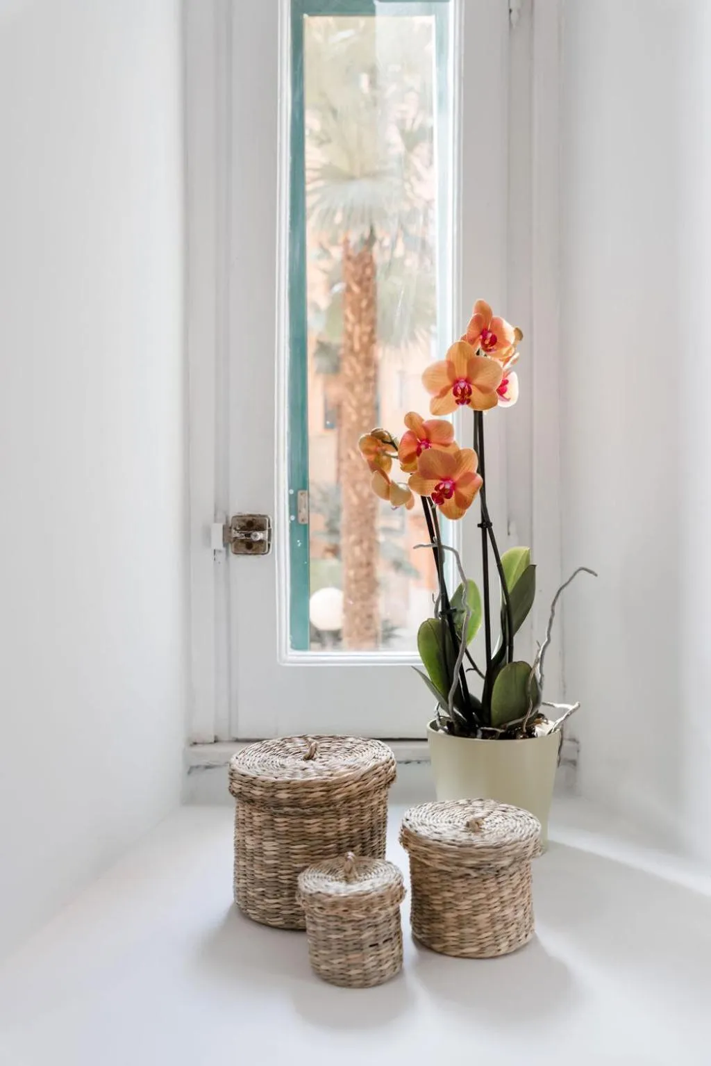 Photo of the whole room in Alea Home Roma