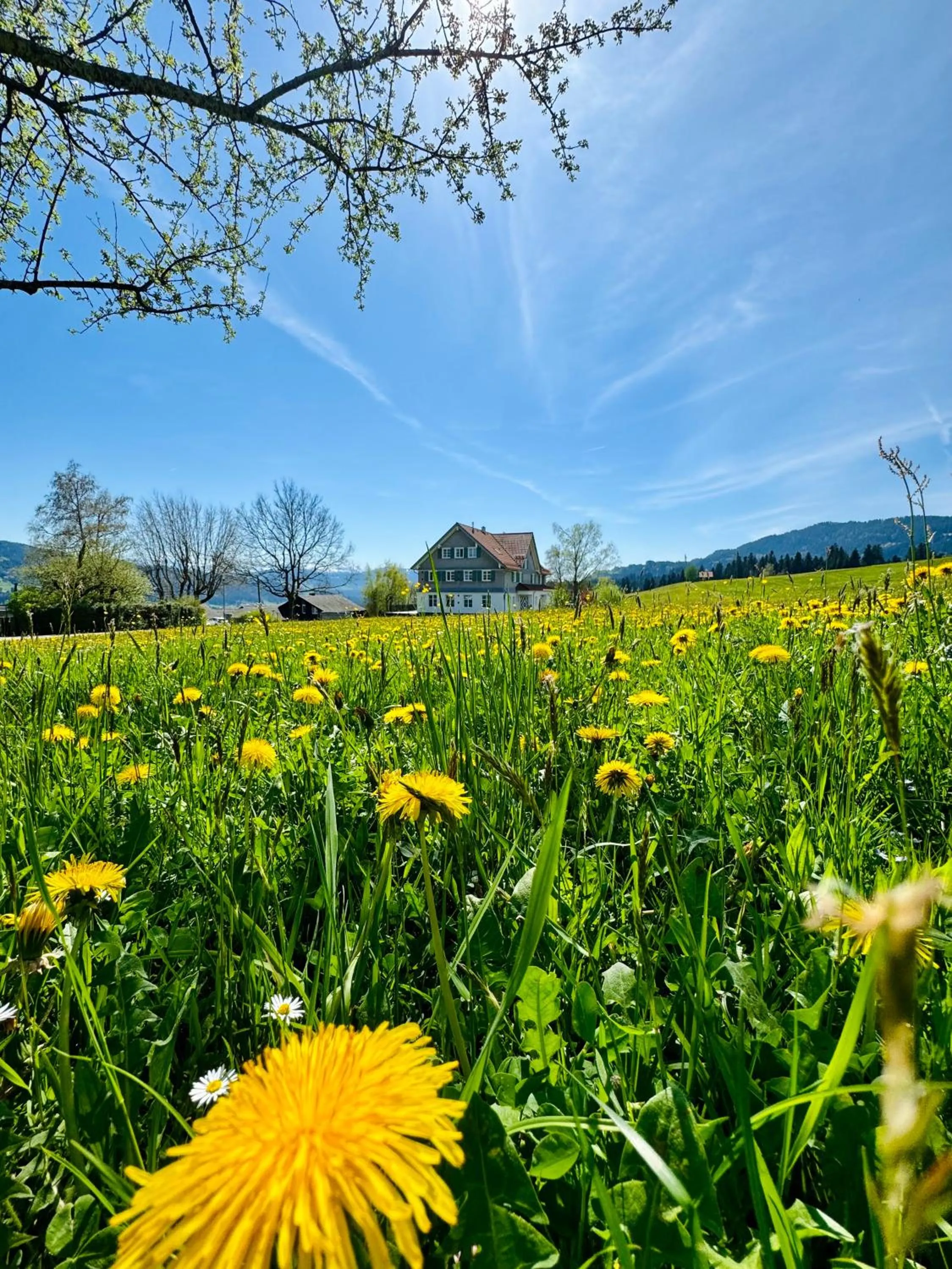 Property building in Alpenloge Design Hotel