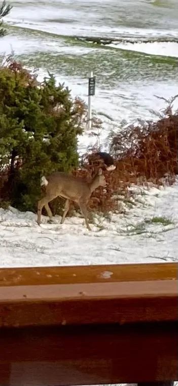 Millie,s View 18 hole free Golf