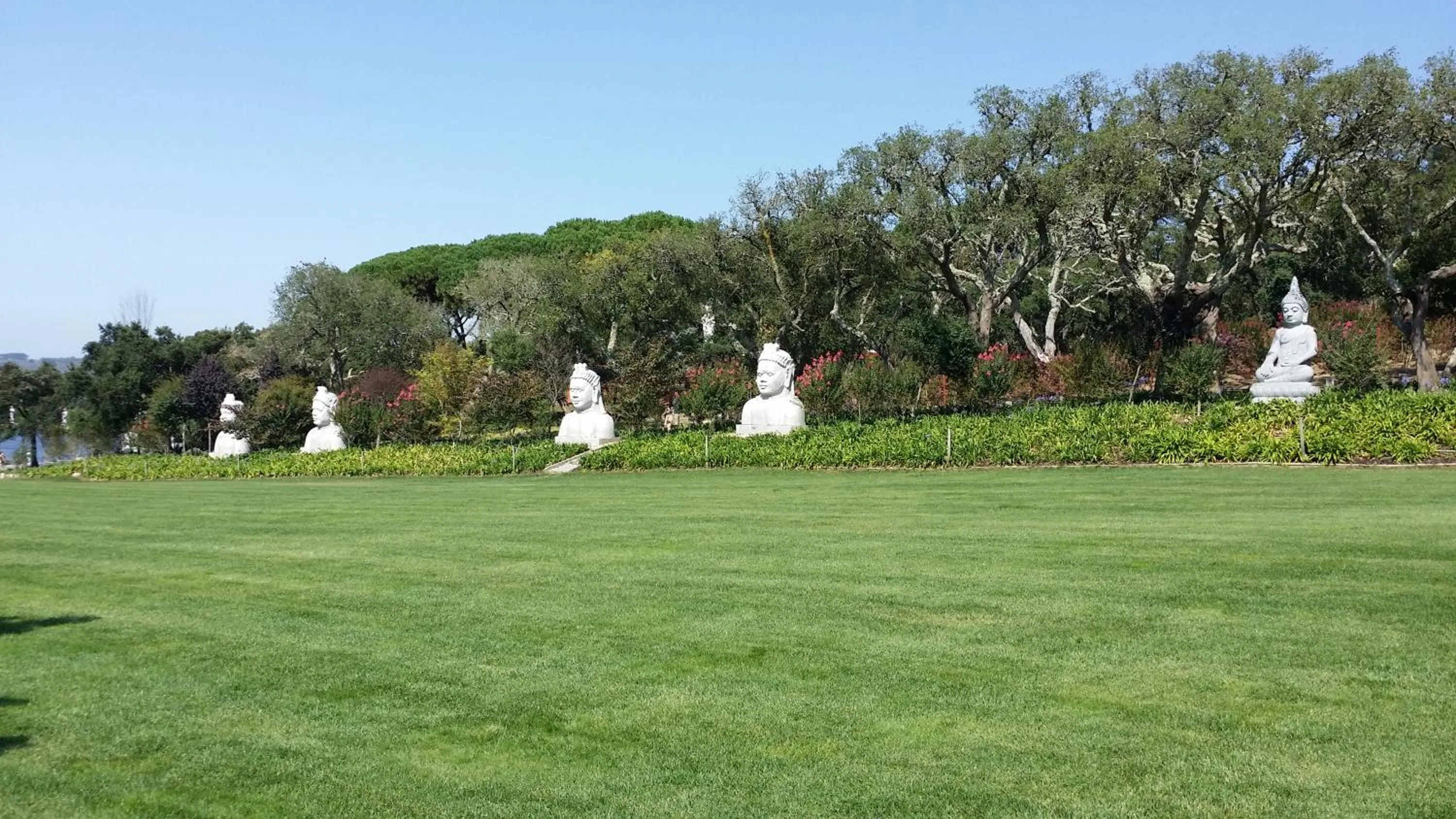 Garden in BB Silvercoast Casa das Flores