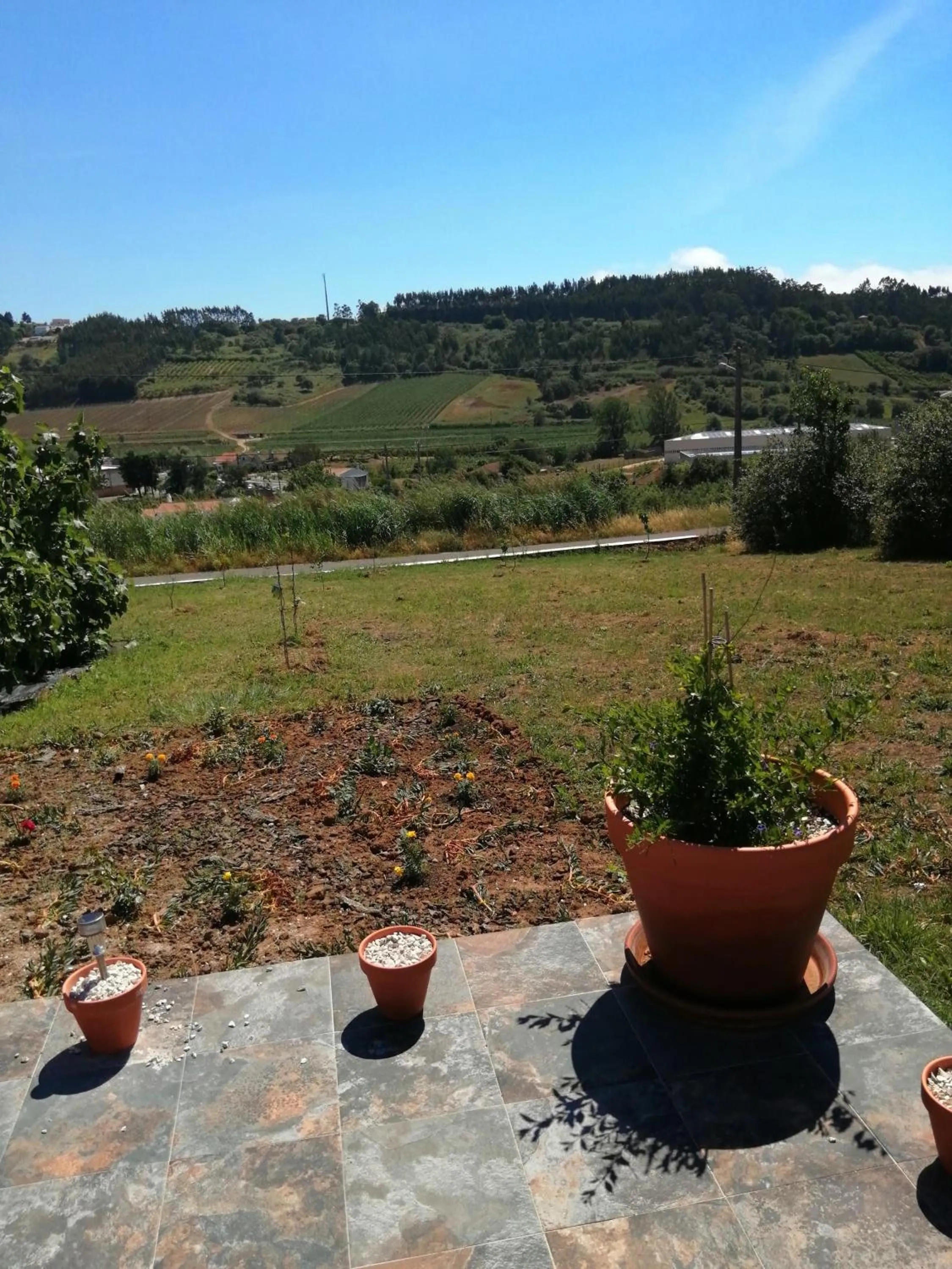 Balcony/Terrace in BB Silvercoast Casa das Flores