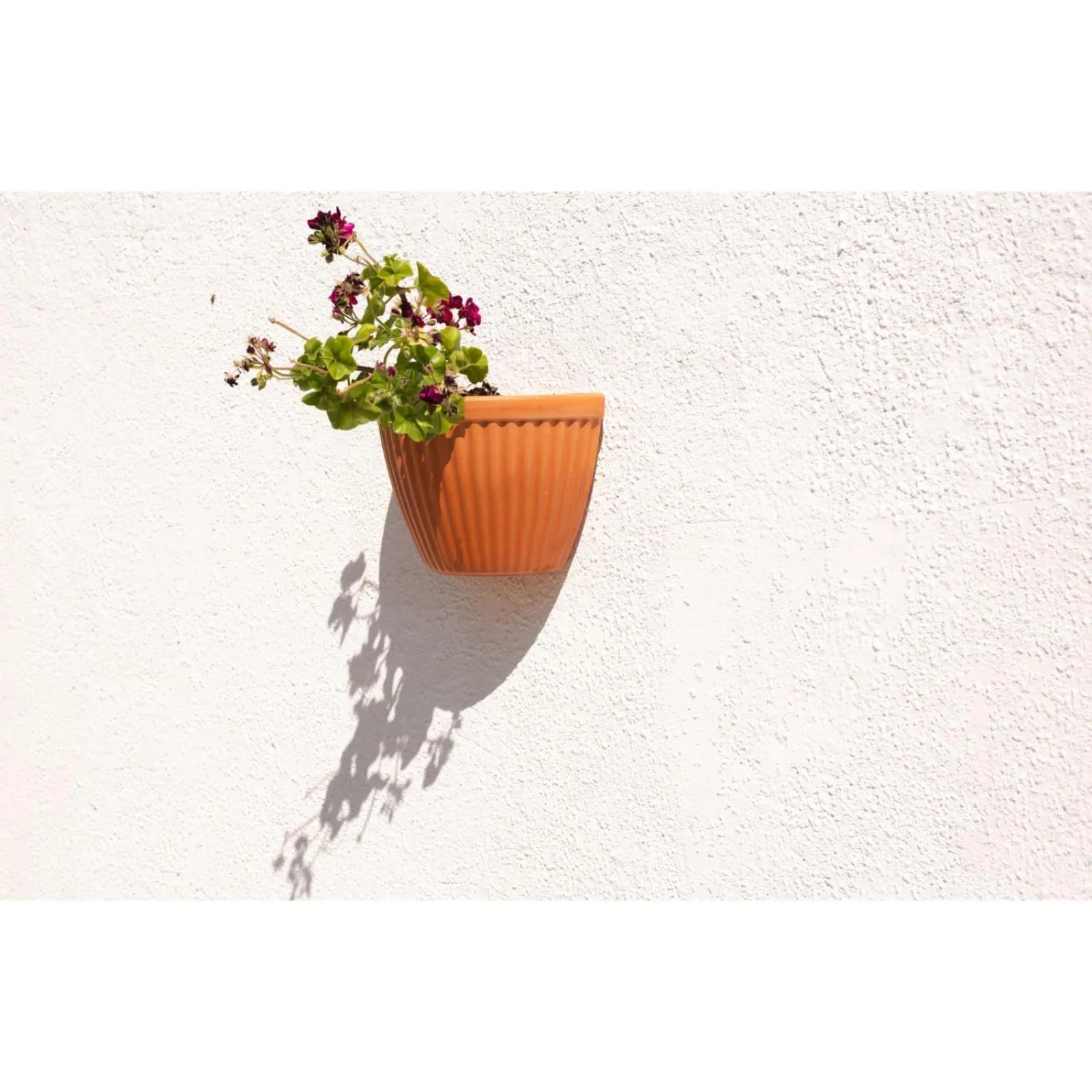 Garden in BB Silvercoast Casa das Flores