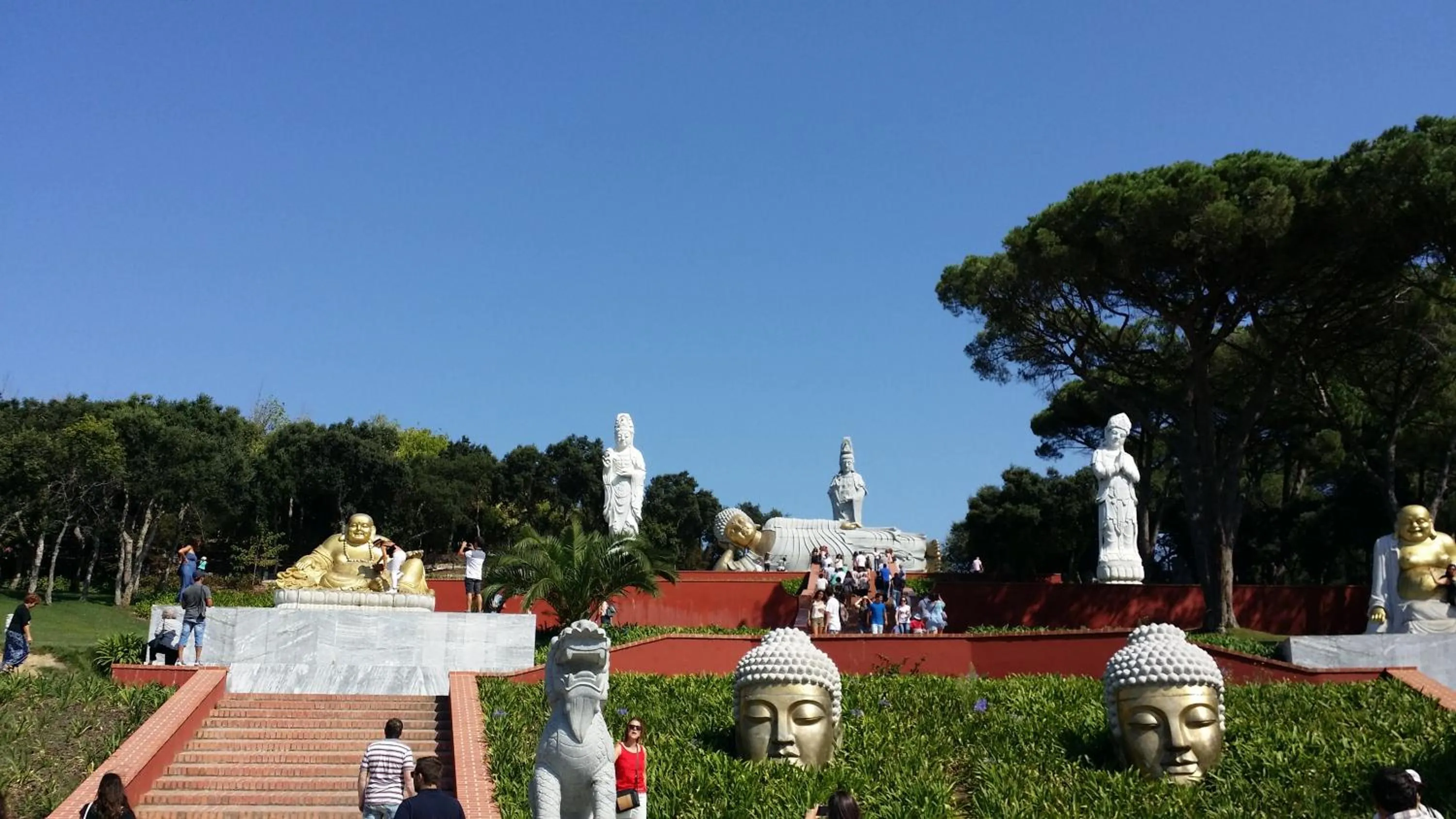 Activities in BB Silvercoast Casa das Flores