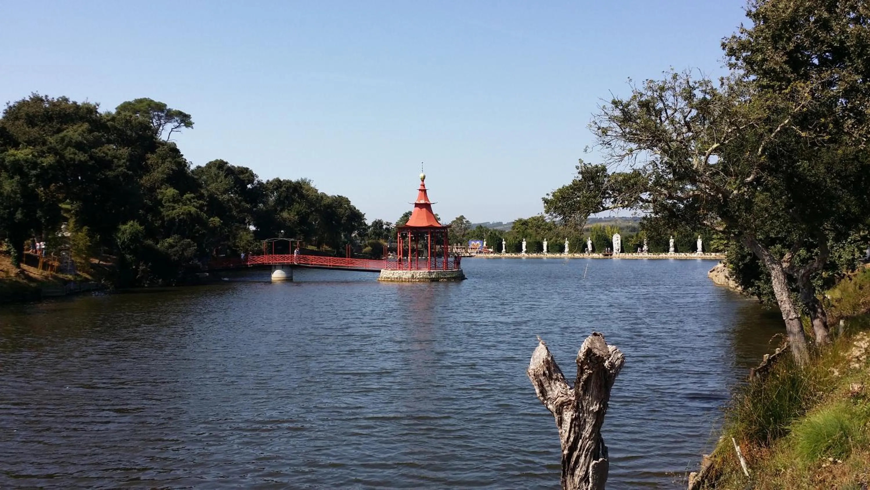 Garden in BB Silvercoast Casa das Flores