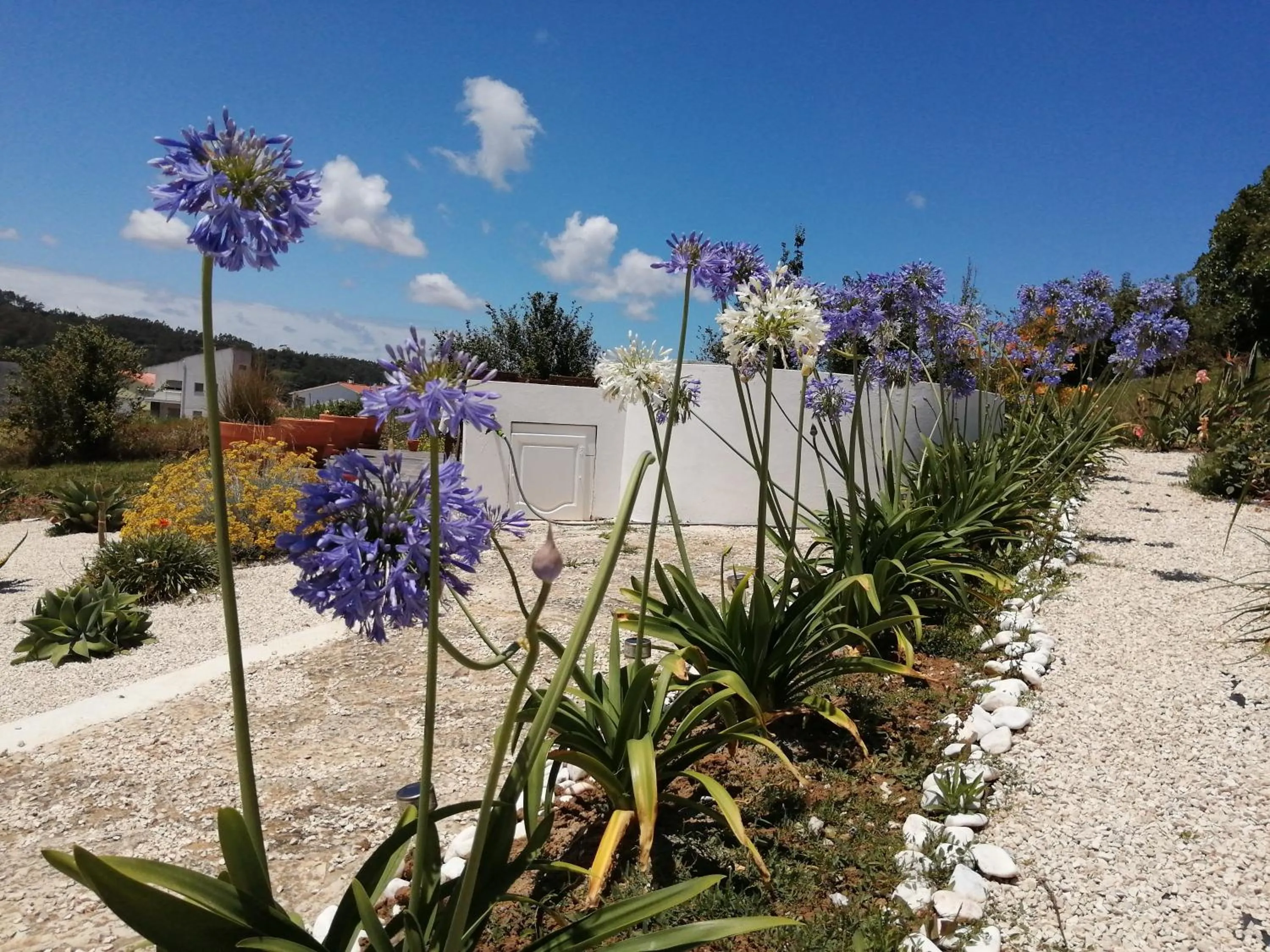 Garden in BB Silvercoast Casa das Flores