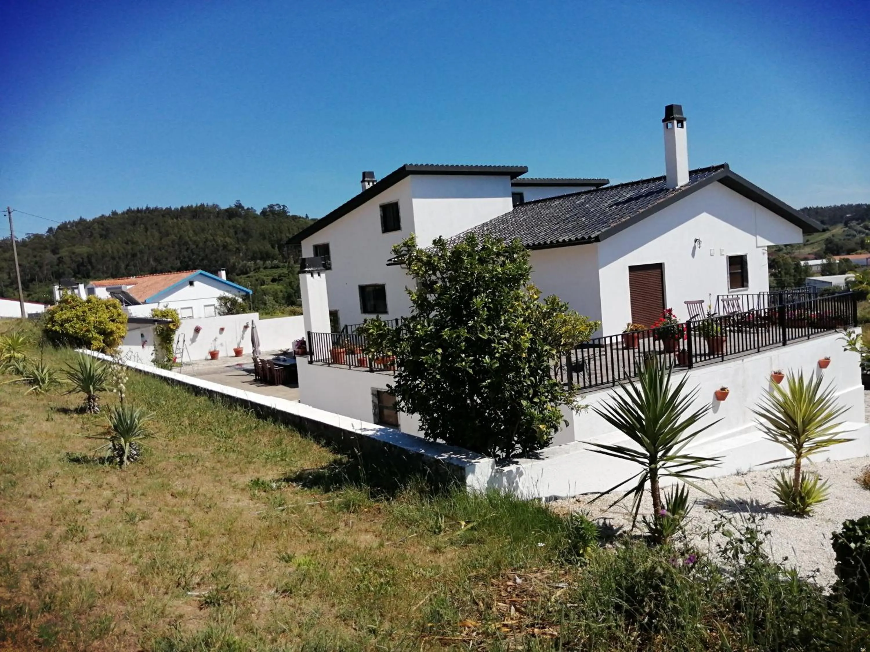 Garden in BB Silvercoast Casa das Flores