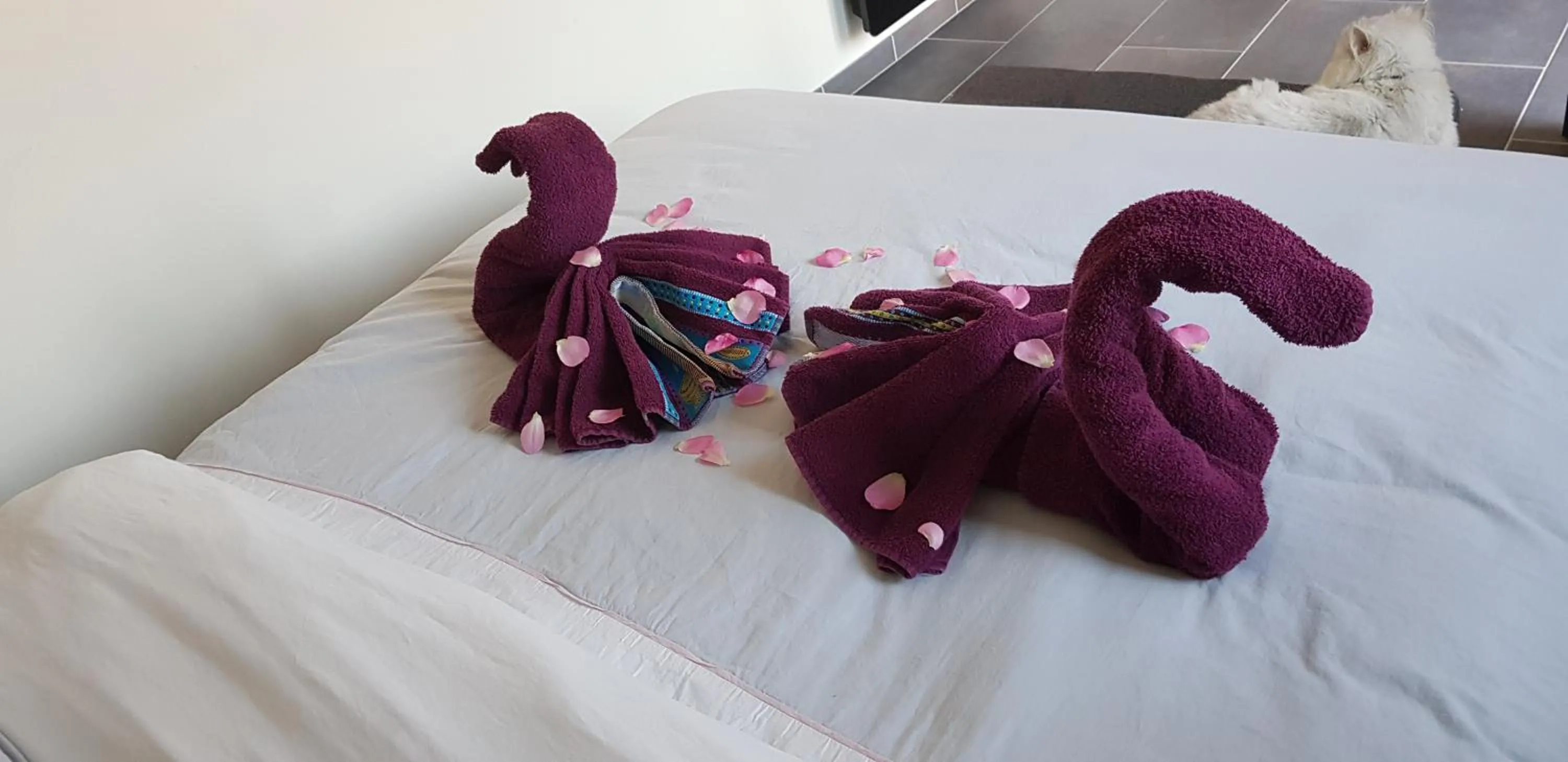 Bed in BAIE DE SOMME - Le pourquoi pas