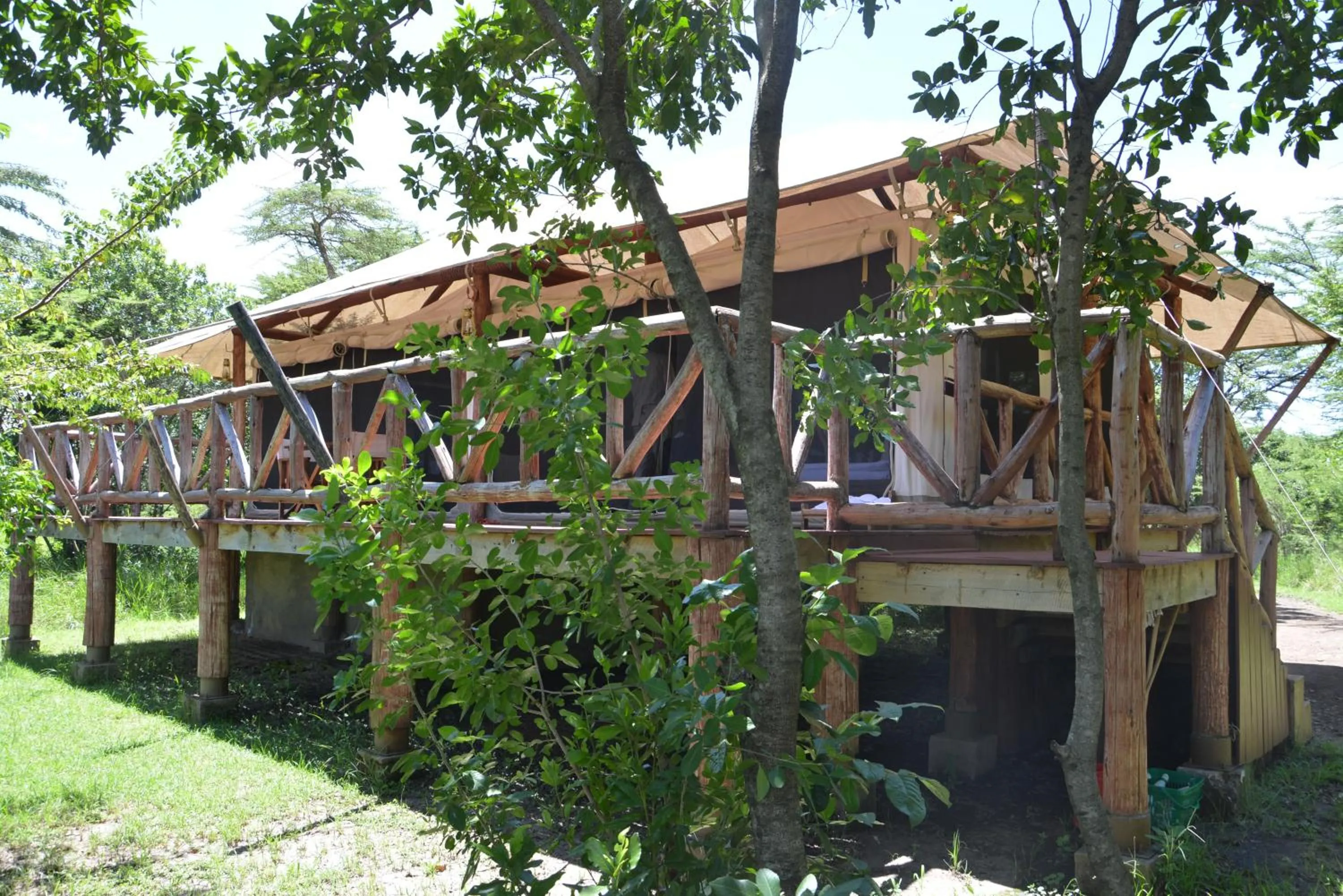 Photo of the whole room in Neptune Mara Rianta Luxury Camp - All Inclusive.