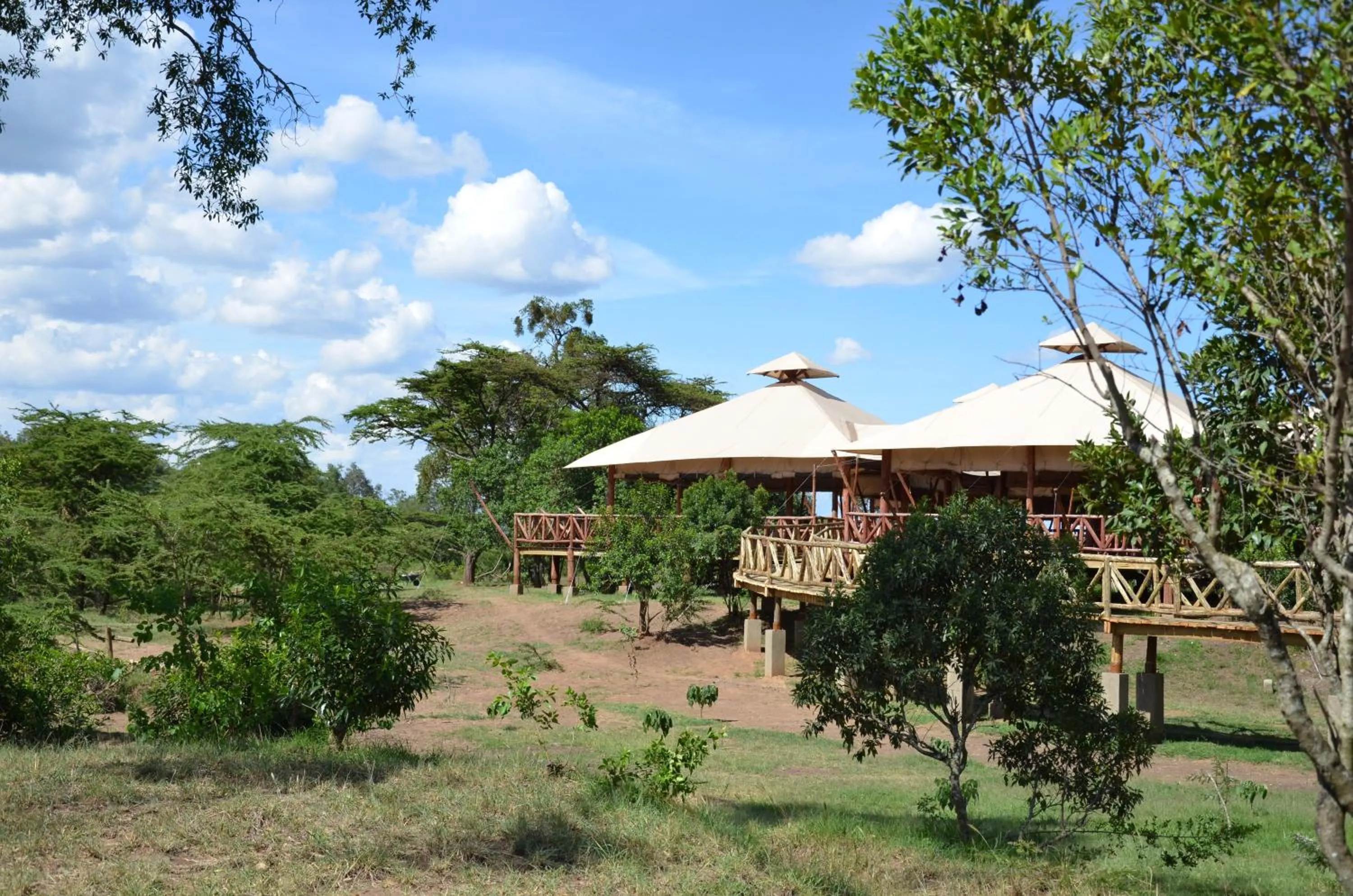 Photo of the whole room in Neptune Mara Rianta Luxury Camp - All Inclusive.