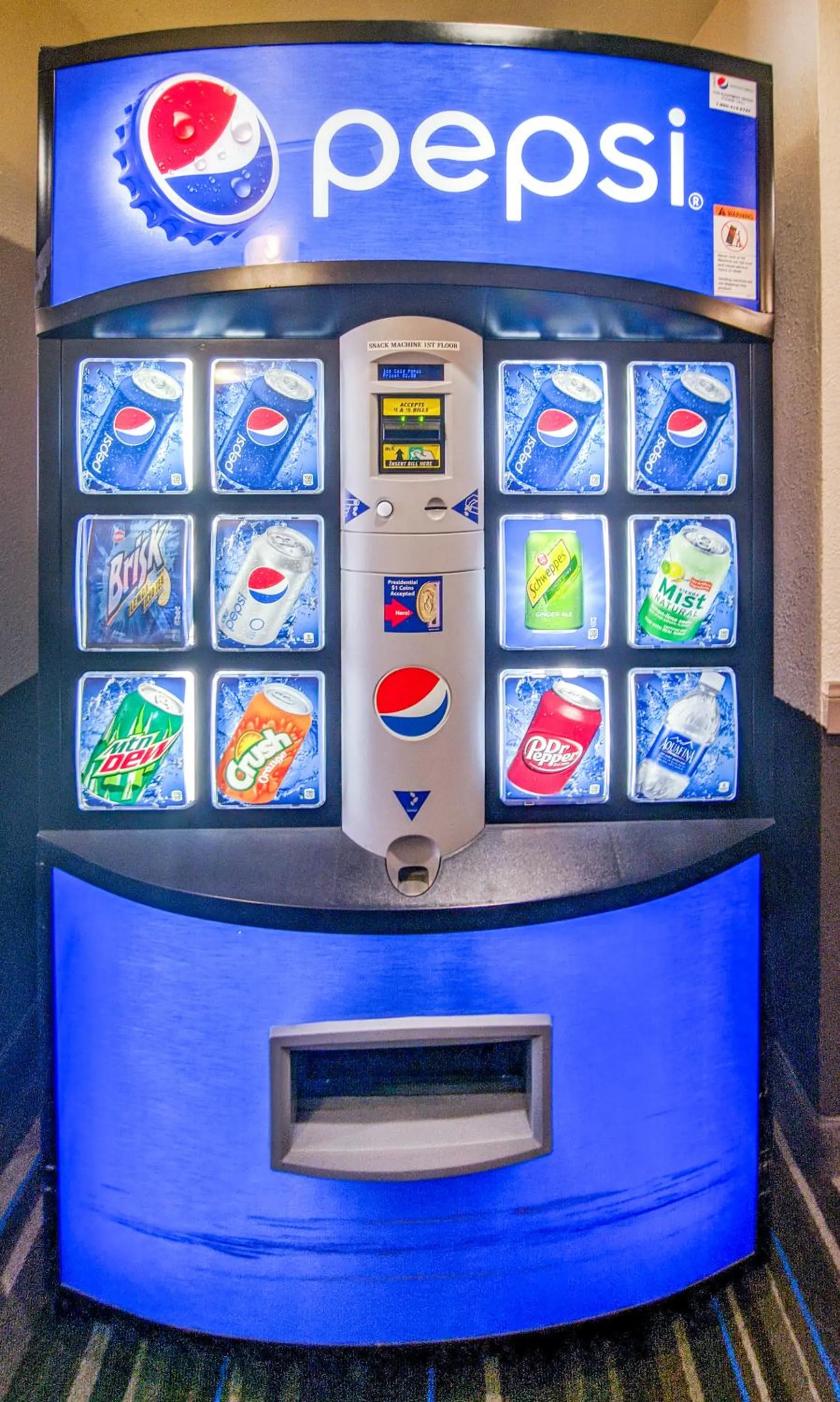 Drinks in Buena Vista Motor Inn