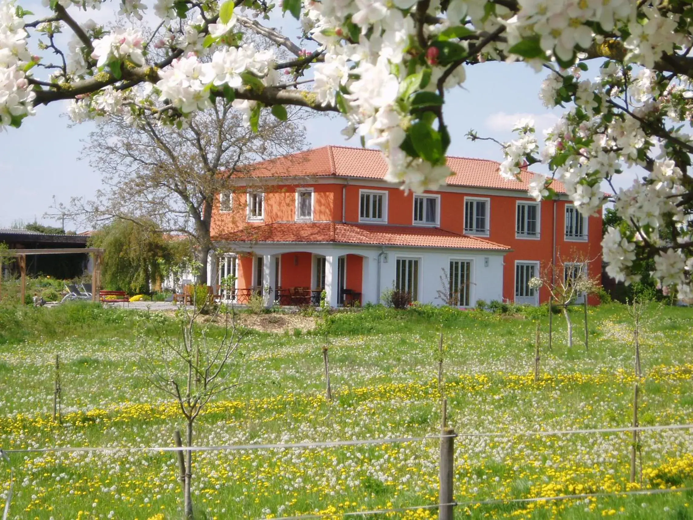 Weinhof am Nussbaum Weinhof am Nussbaum