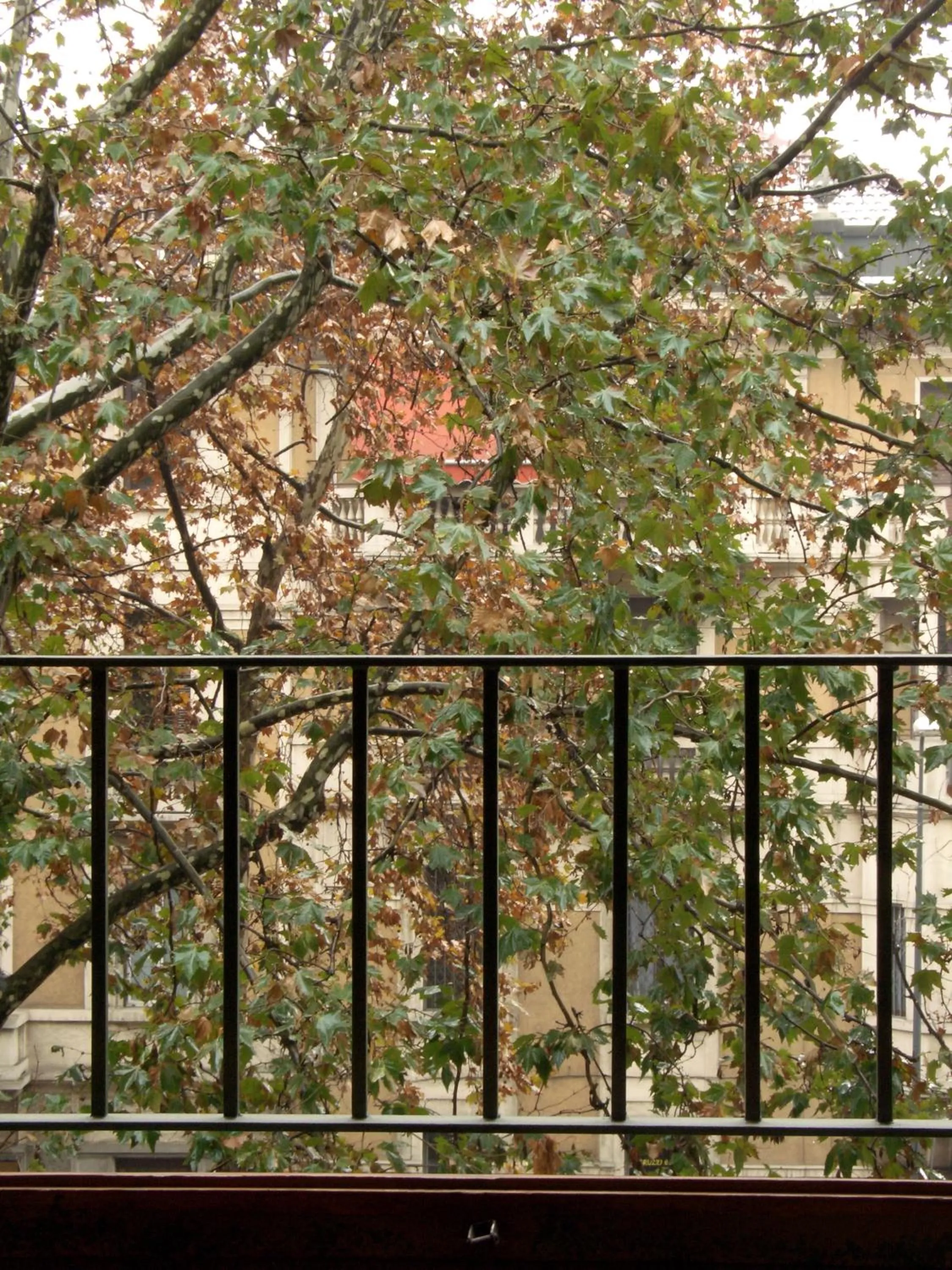 Other in Residence Domus