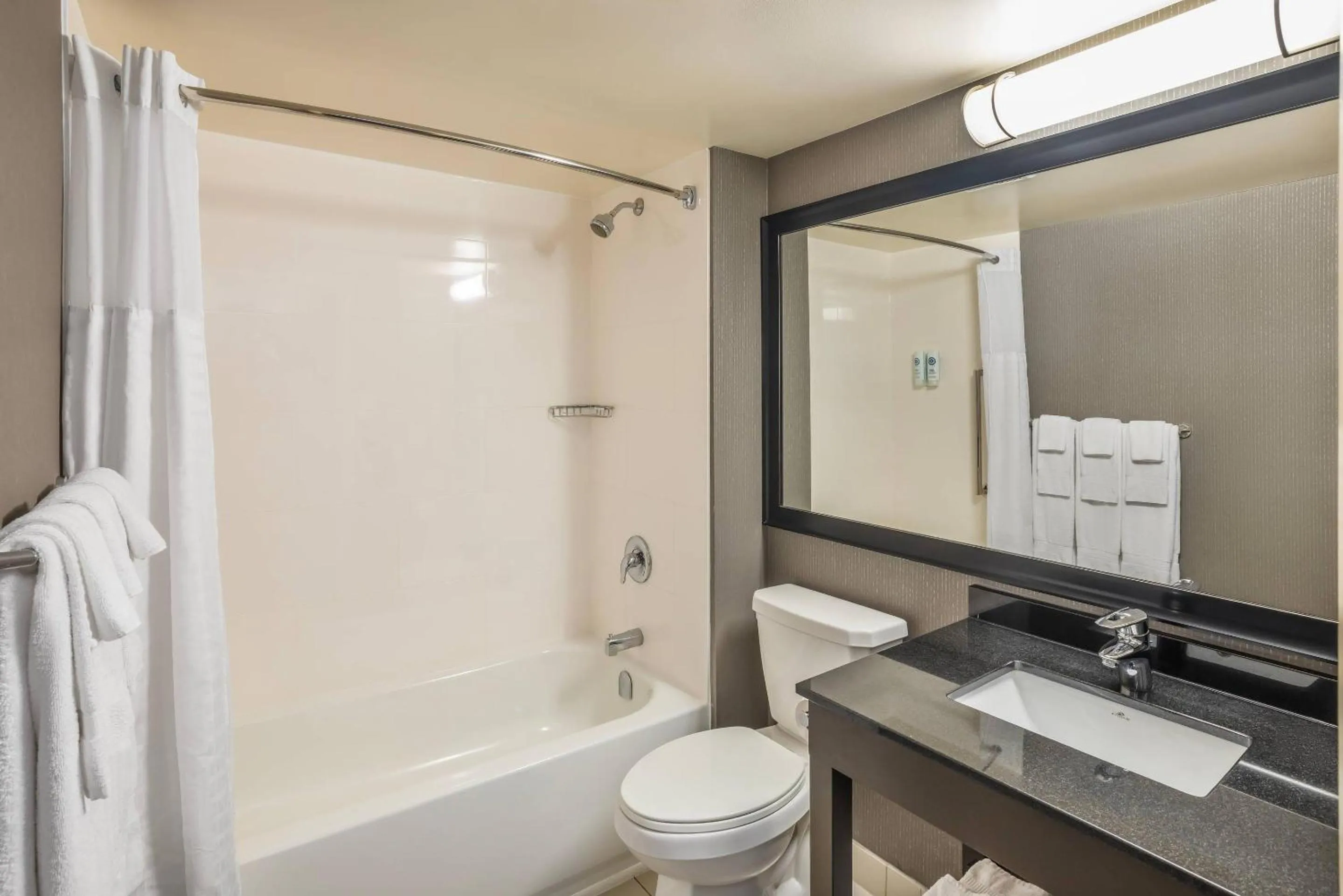 Bedroom in Comfort Inn East